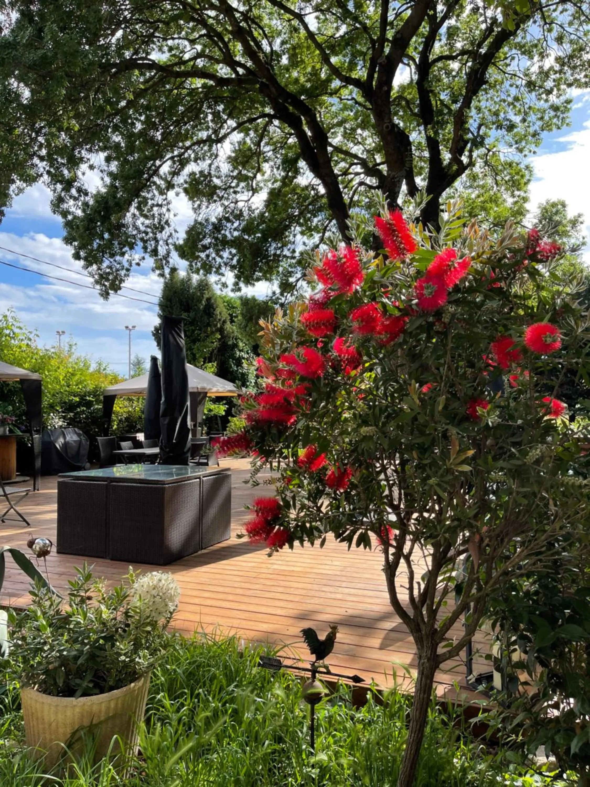 Garden in Hotel Mas De Galoffre