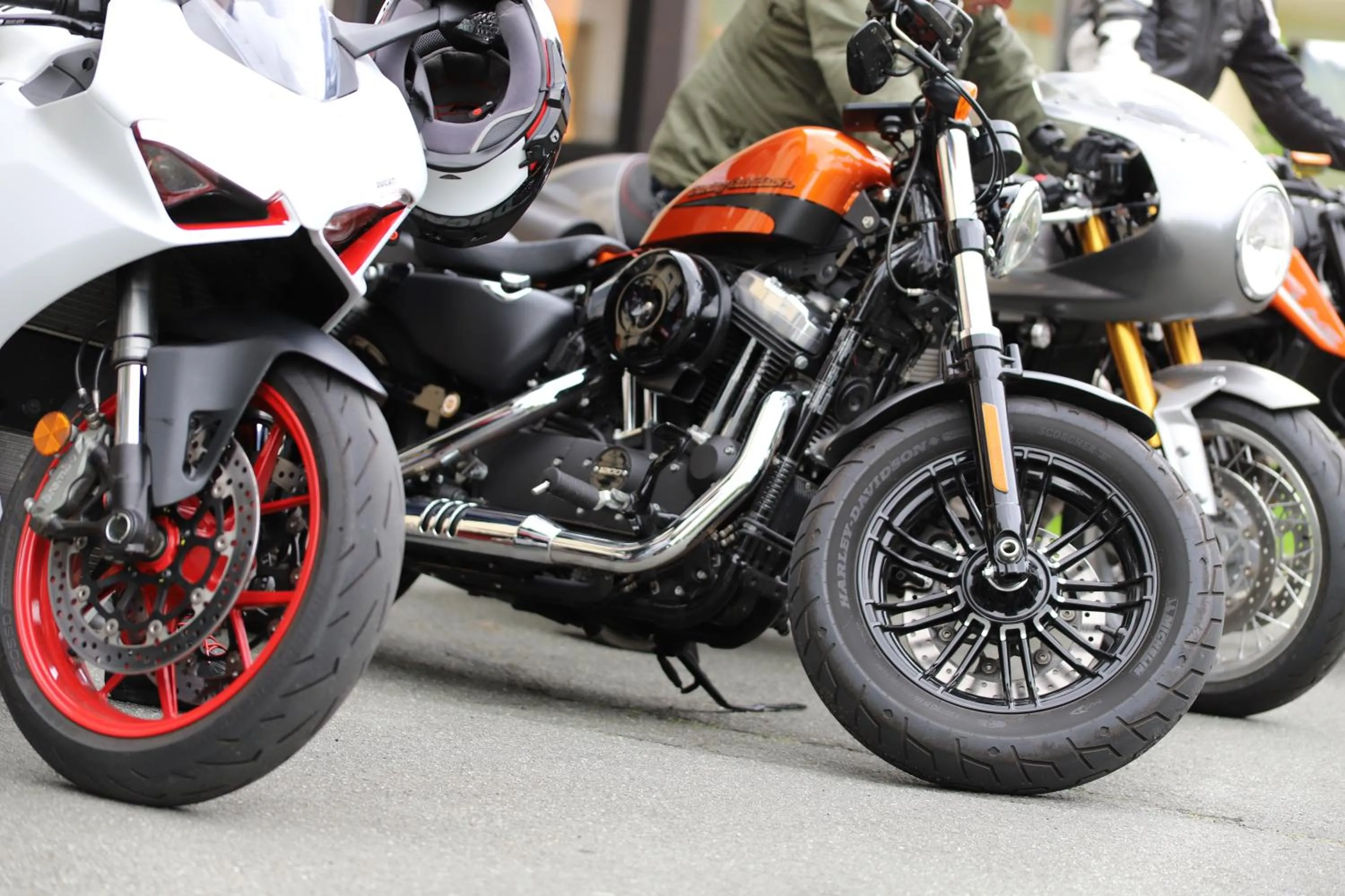 Activities in Der Wolfshof - Dein Zuhause im Harz