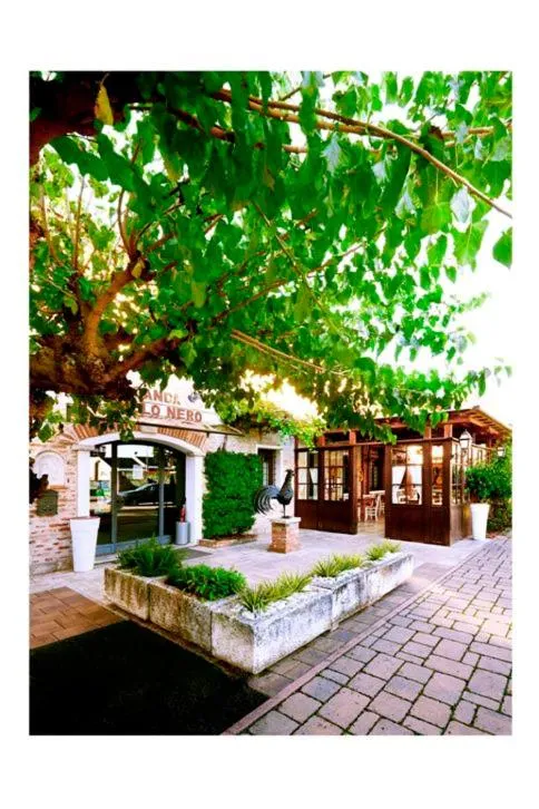 Breakfast in Al Gallo Nero