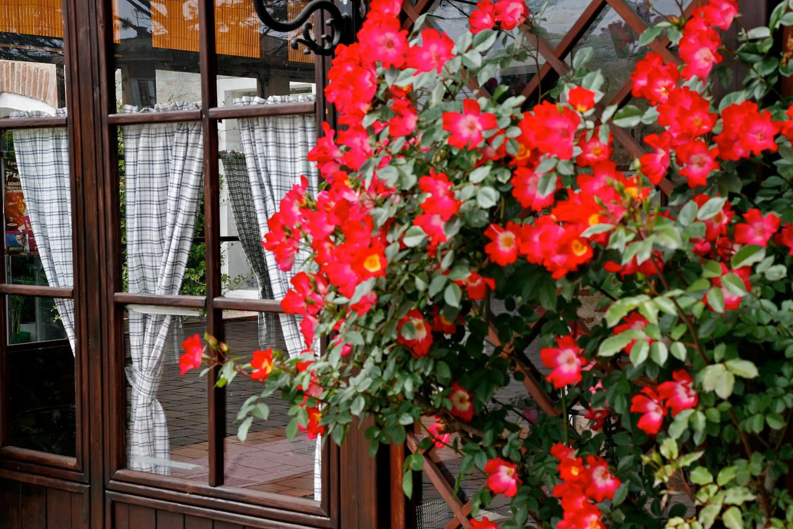 Decorative detail in Al Gallo Nero