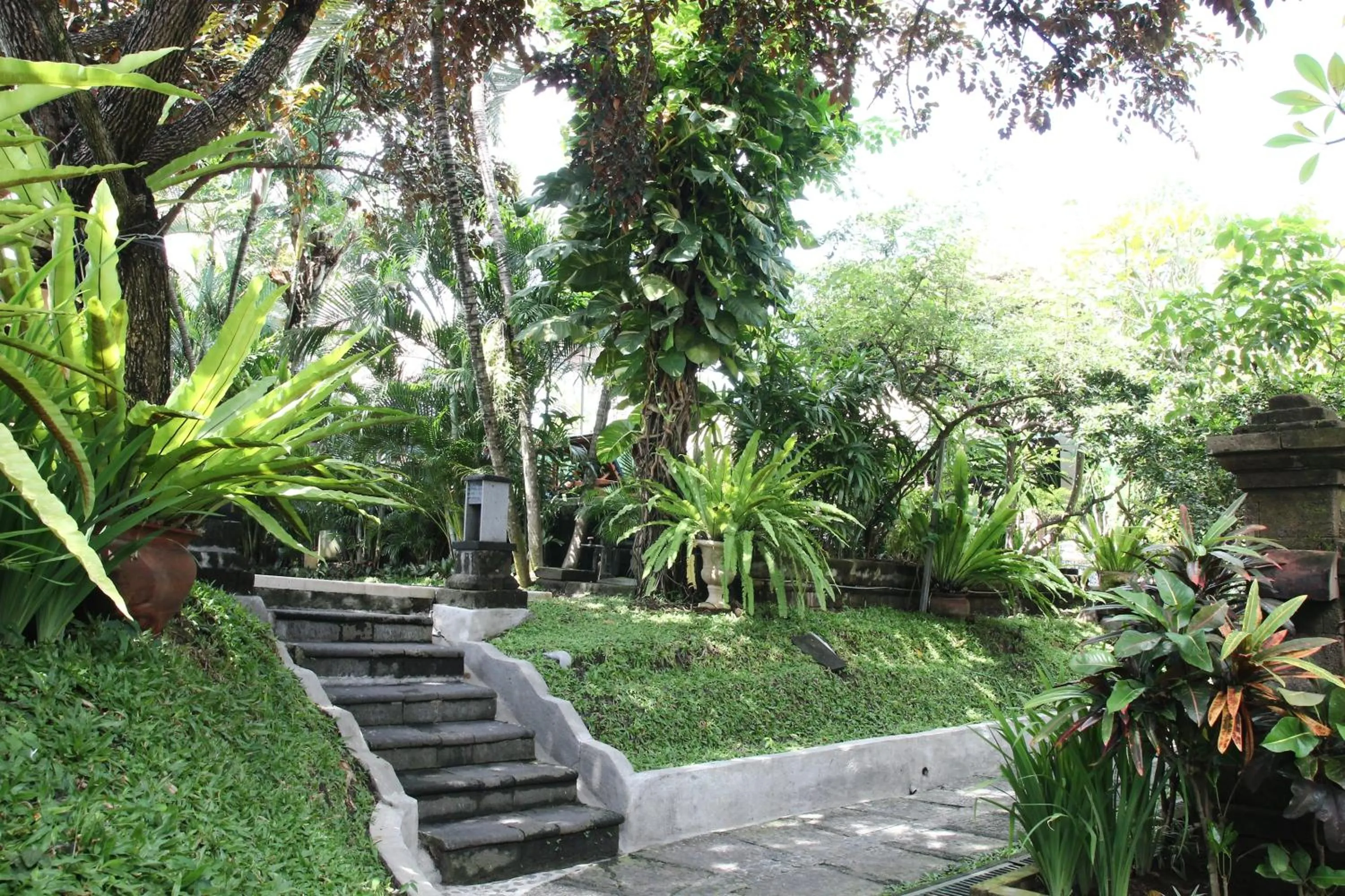 Day in Bali Agung Village