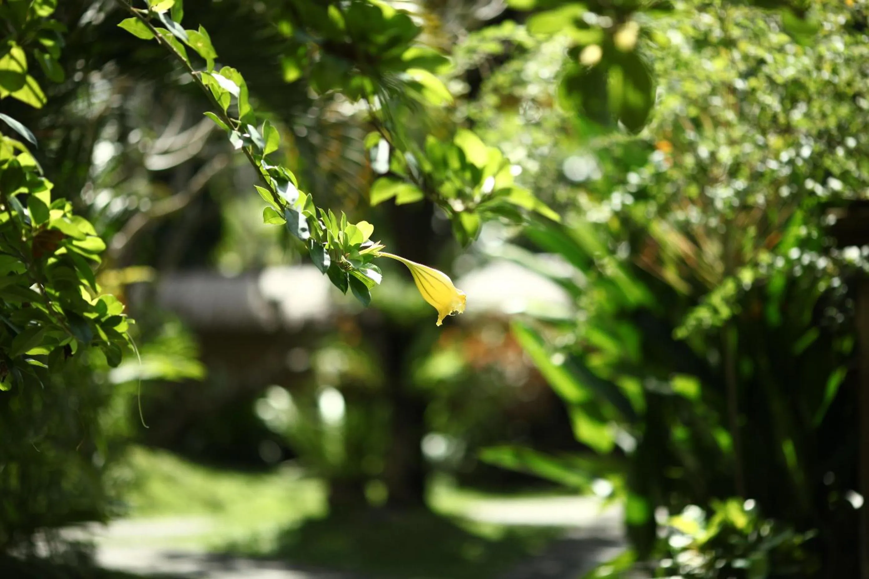Facade/entrance in Bali Agung Village