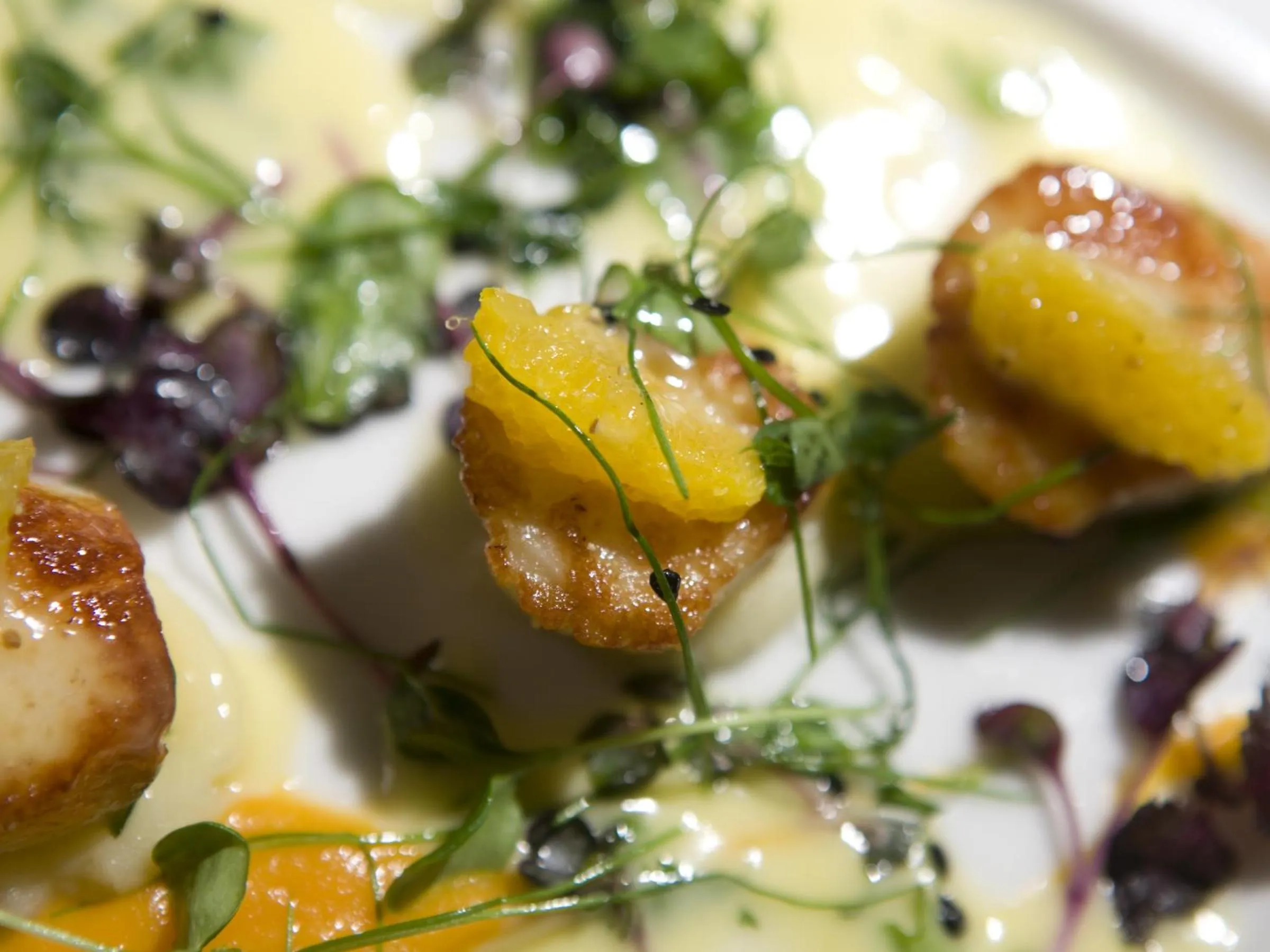 Dinner in Park Central Hotel