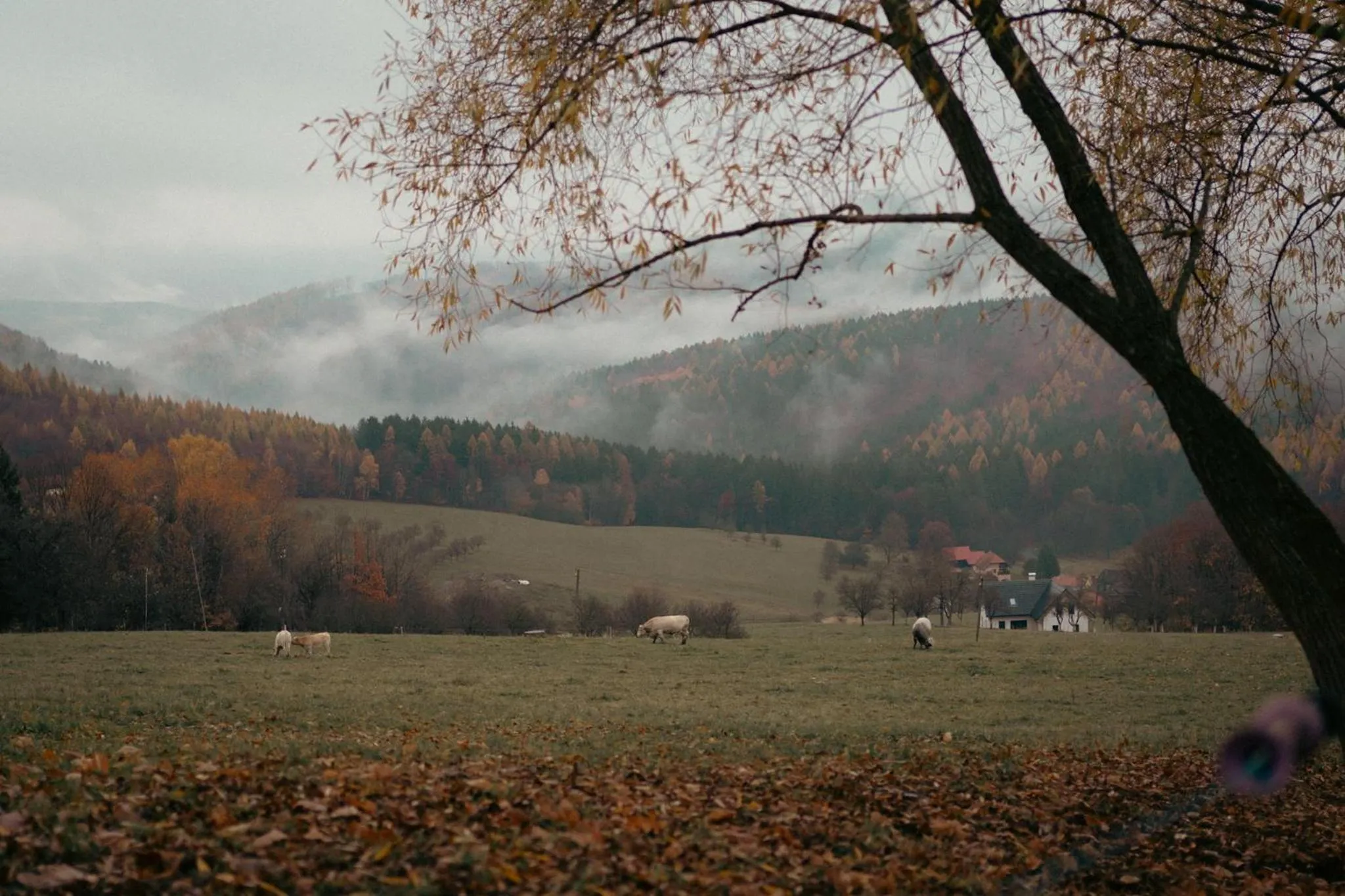 Neighbourhood in Hotel Kopanice