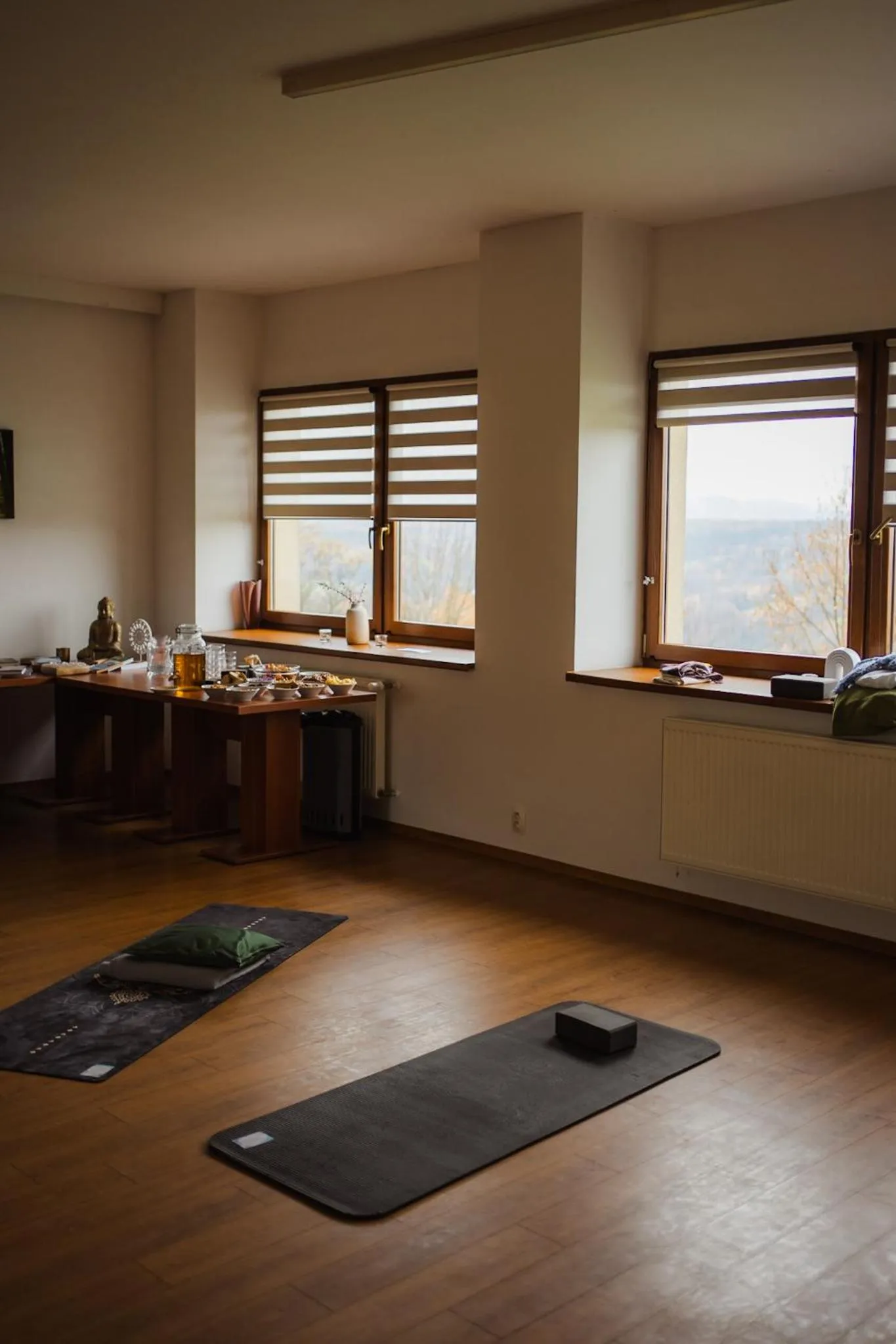 Property building in Hotel Kopanice