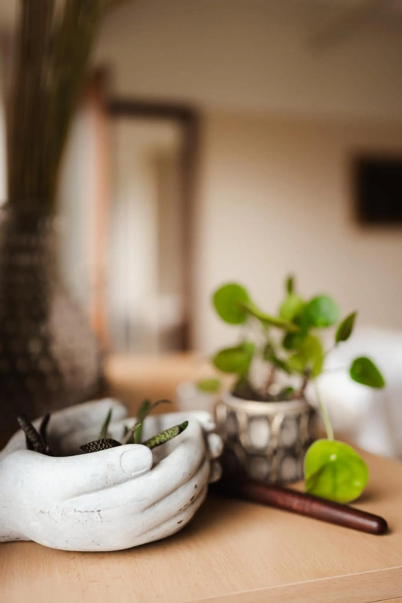 Property building in Hotel Kopanice