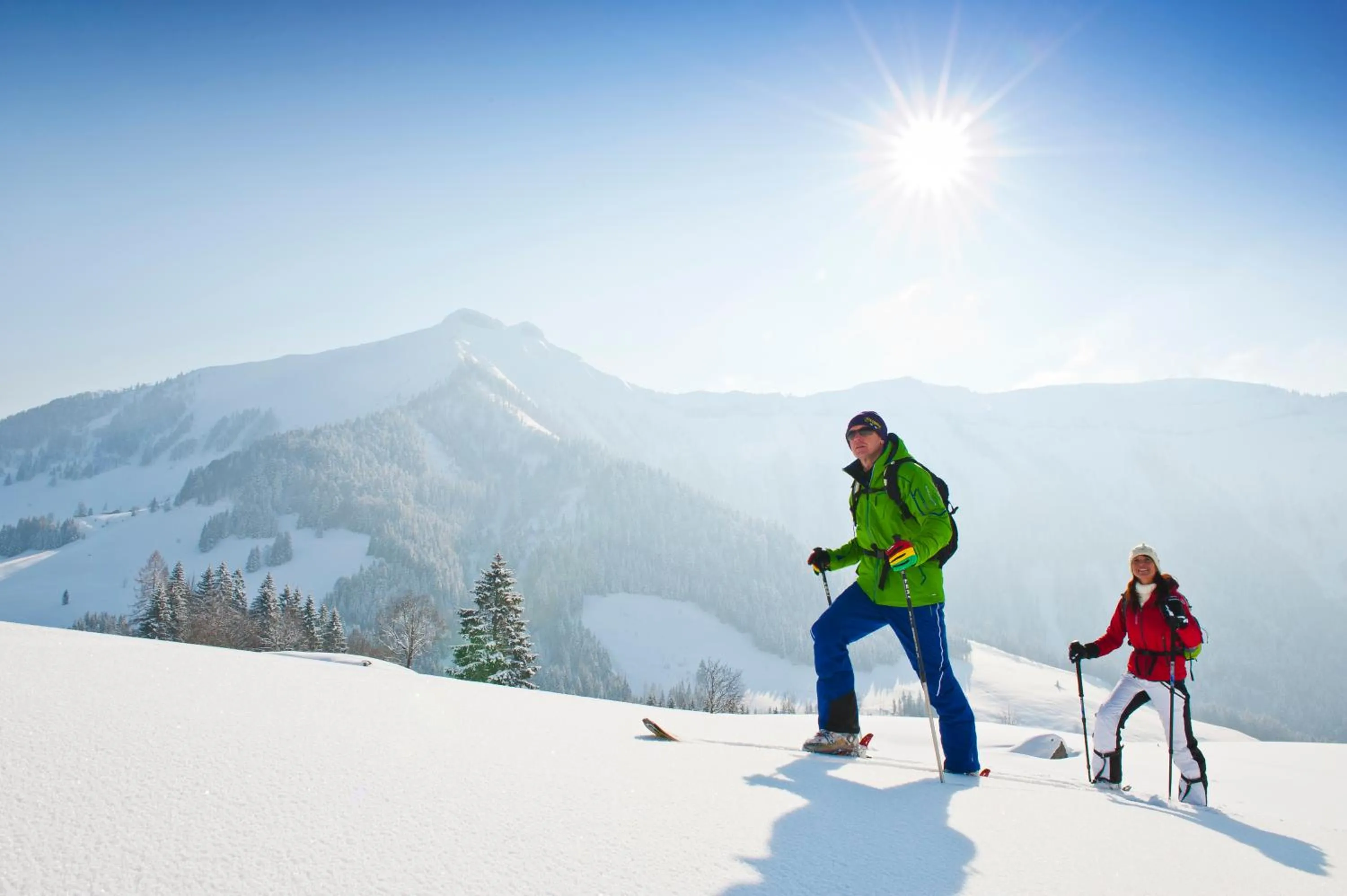 Winter in Appartements Ferienwohnungen Alpenblick
