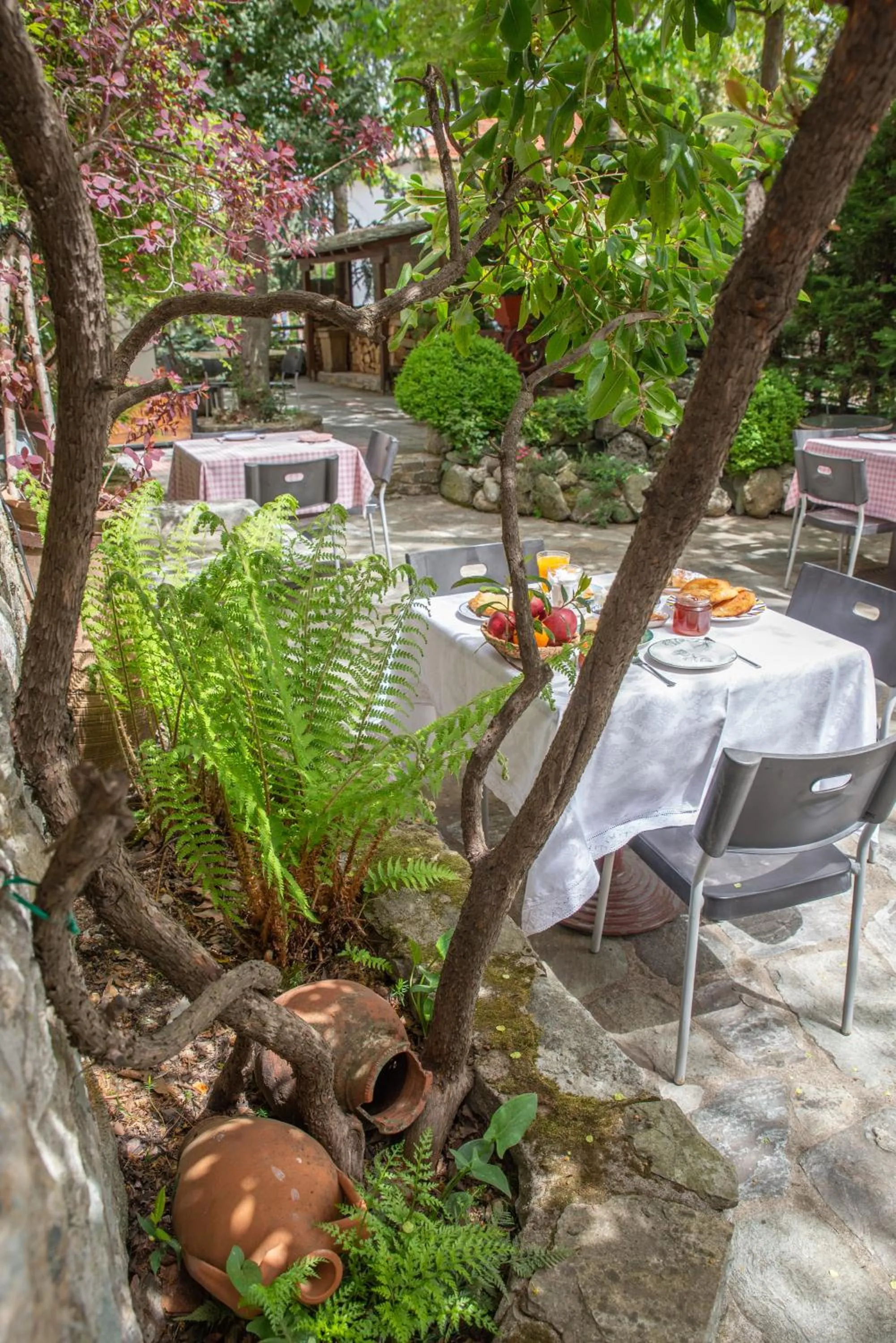 Garden in Archontiko Stamou
