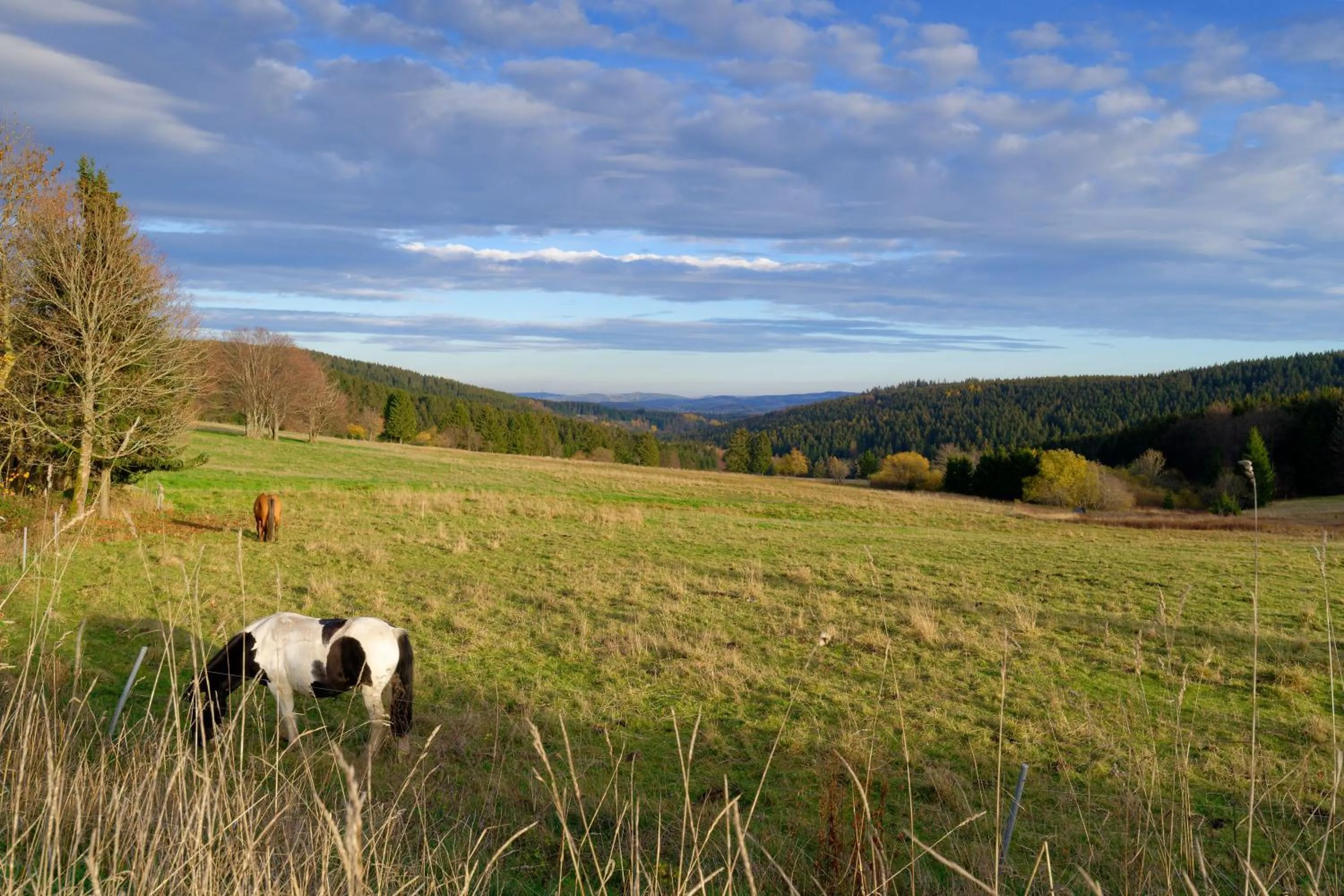 Natural landscape in Hotel Kammweg