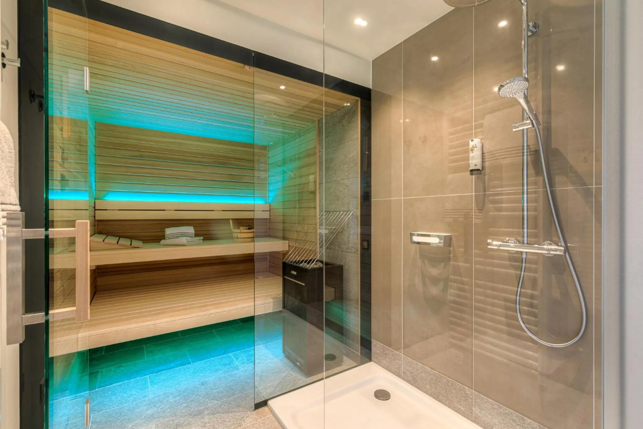 Sauna in VILA VITA Pannonia