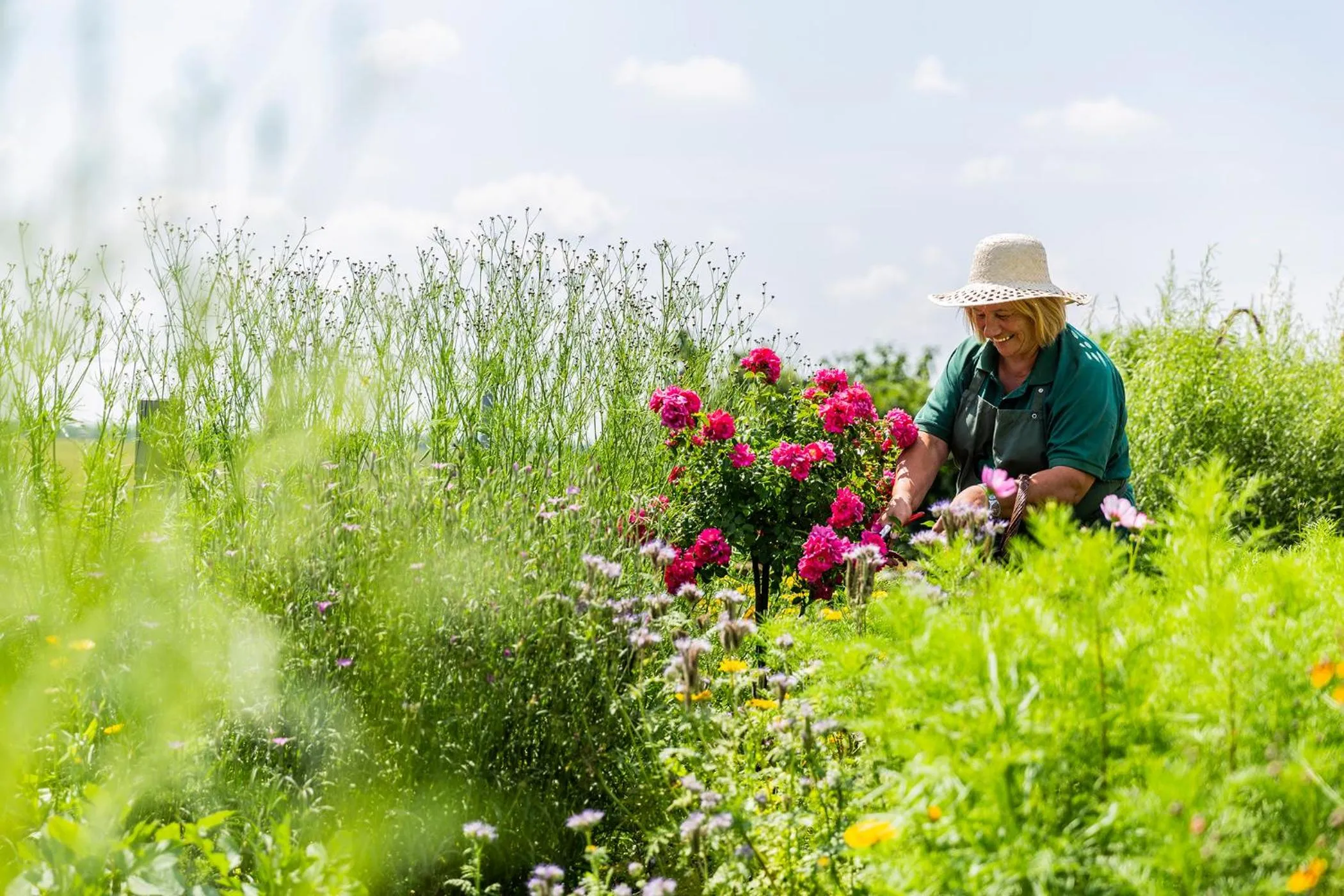 Natural landscape in VILA VITA Pannonia