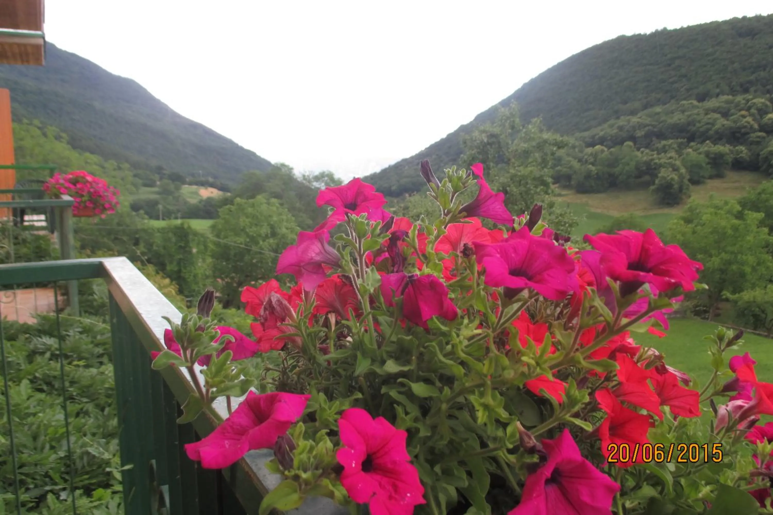 Day in Hotel Montebaldina