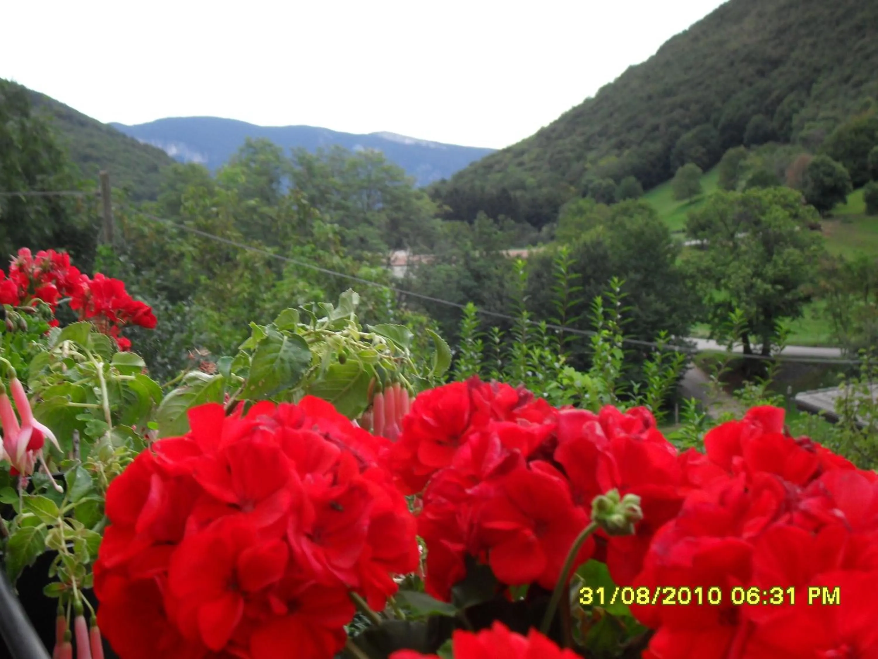 Natural landscape in Hotel Montebaldina