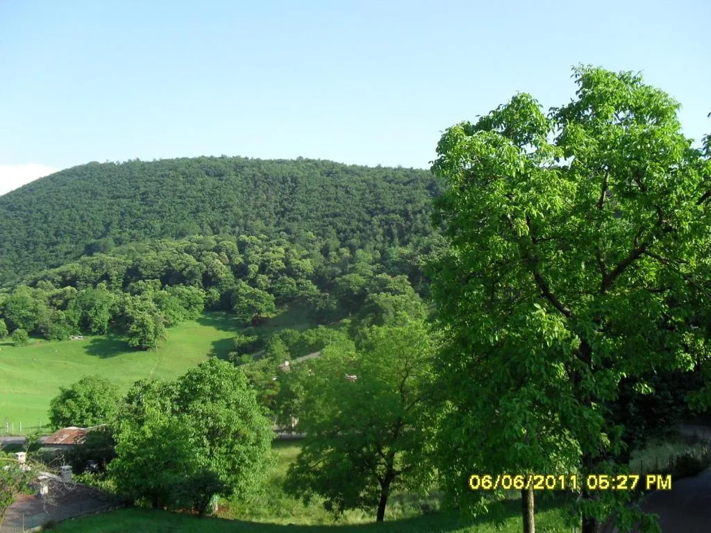 Natural landscape in Hotel Montebaldina