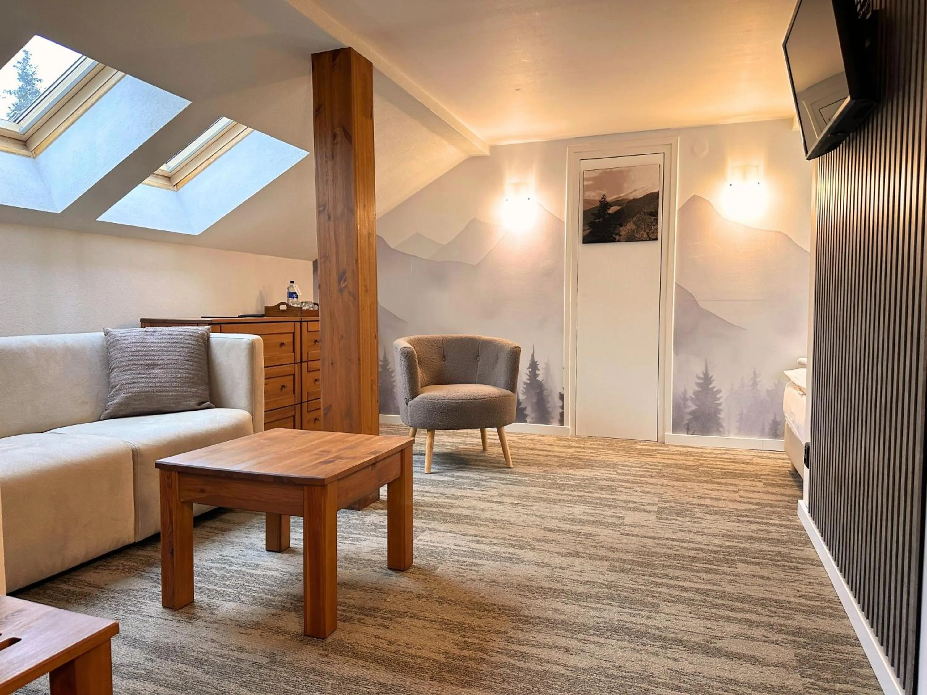 TV and multimedia in Hotel Mikulášska Chata