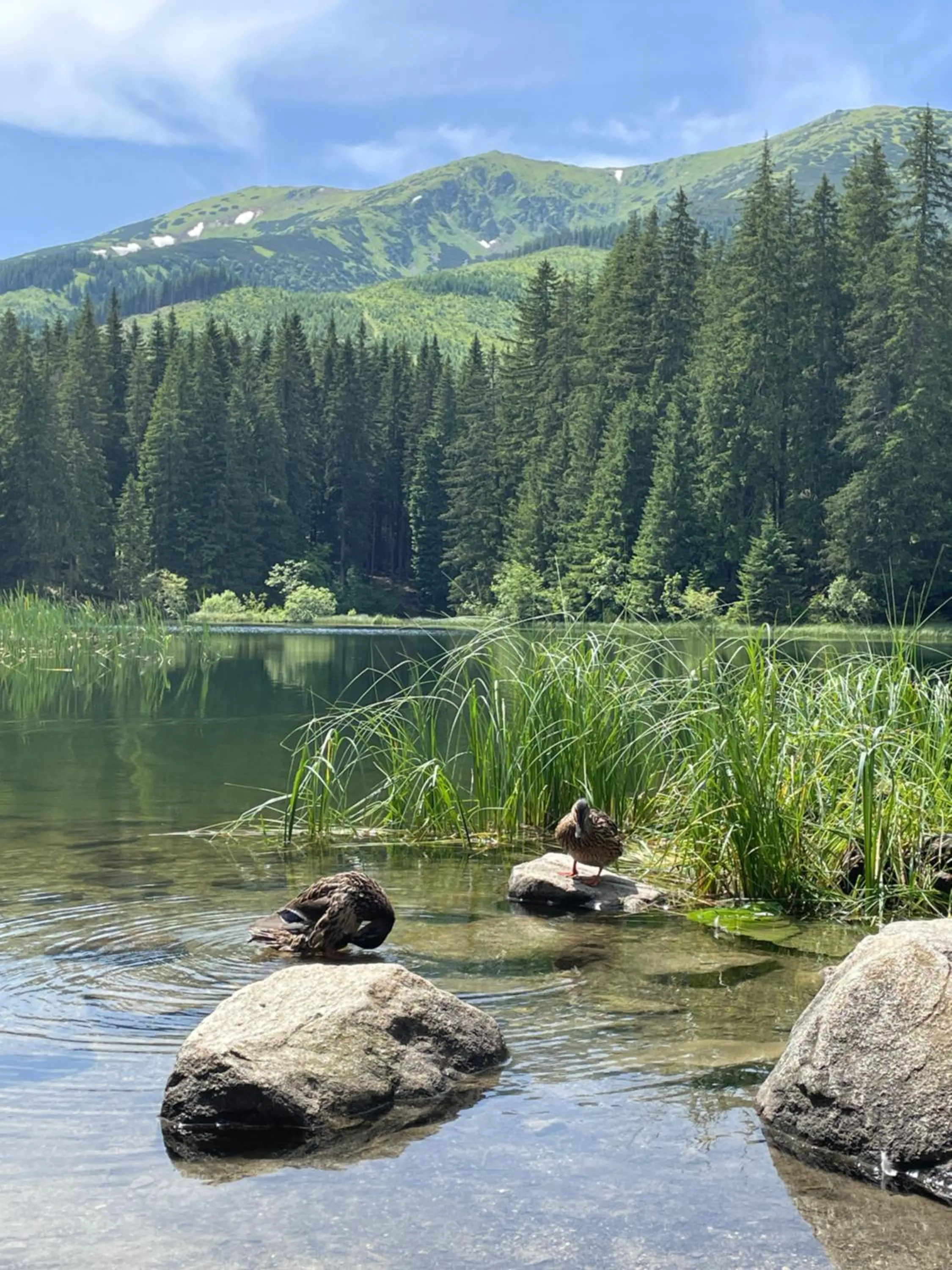 Nearby landmark in Hotel Mikulášska Chata