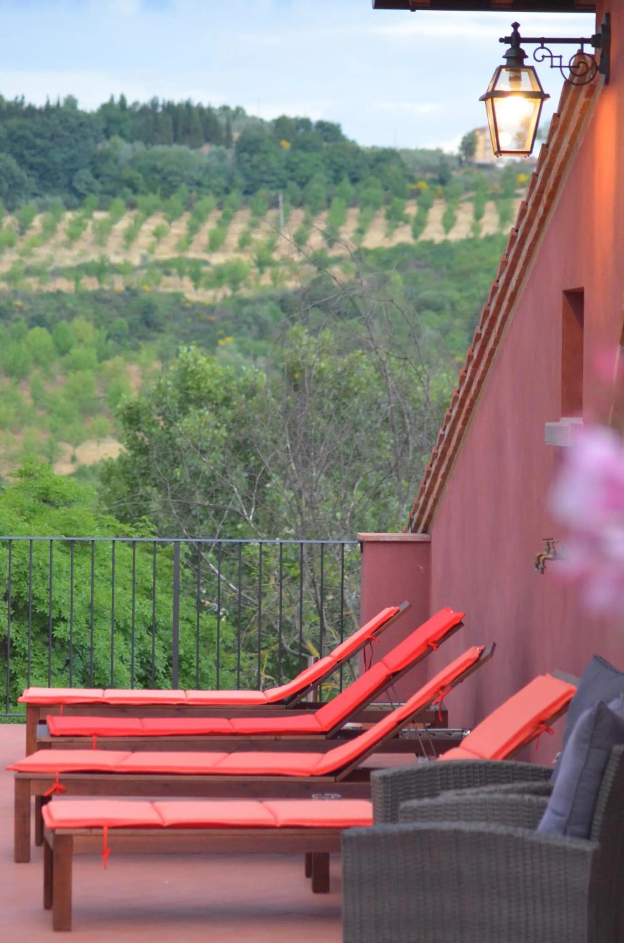 Solarium in Podere Dell'Anselmo