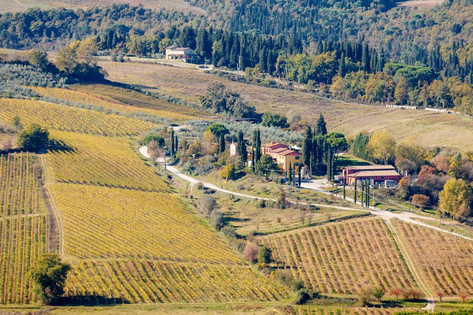 Area and facilities in Podere Dell'Anselmo
