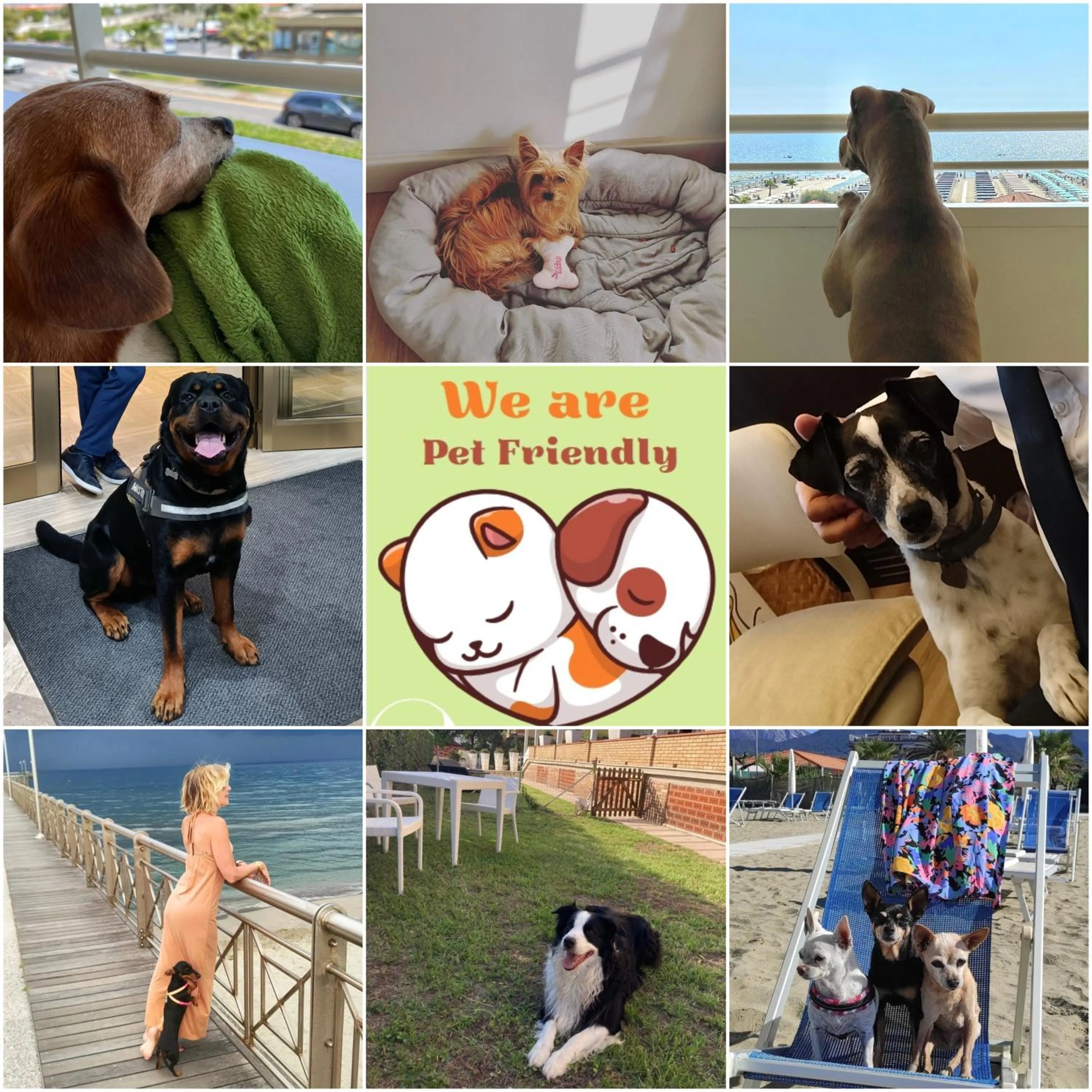 Animals in Hotel Esplanade