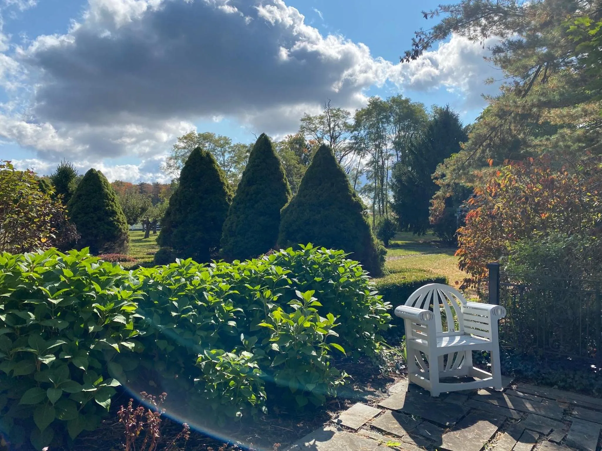 Garden in John Joseph Inn
