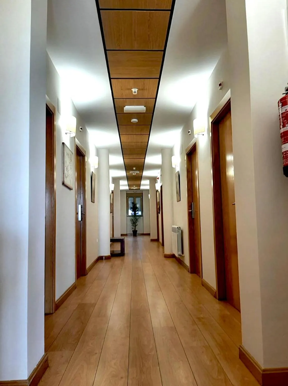 Area and facilities in Hotel Campos de Castilla