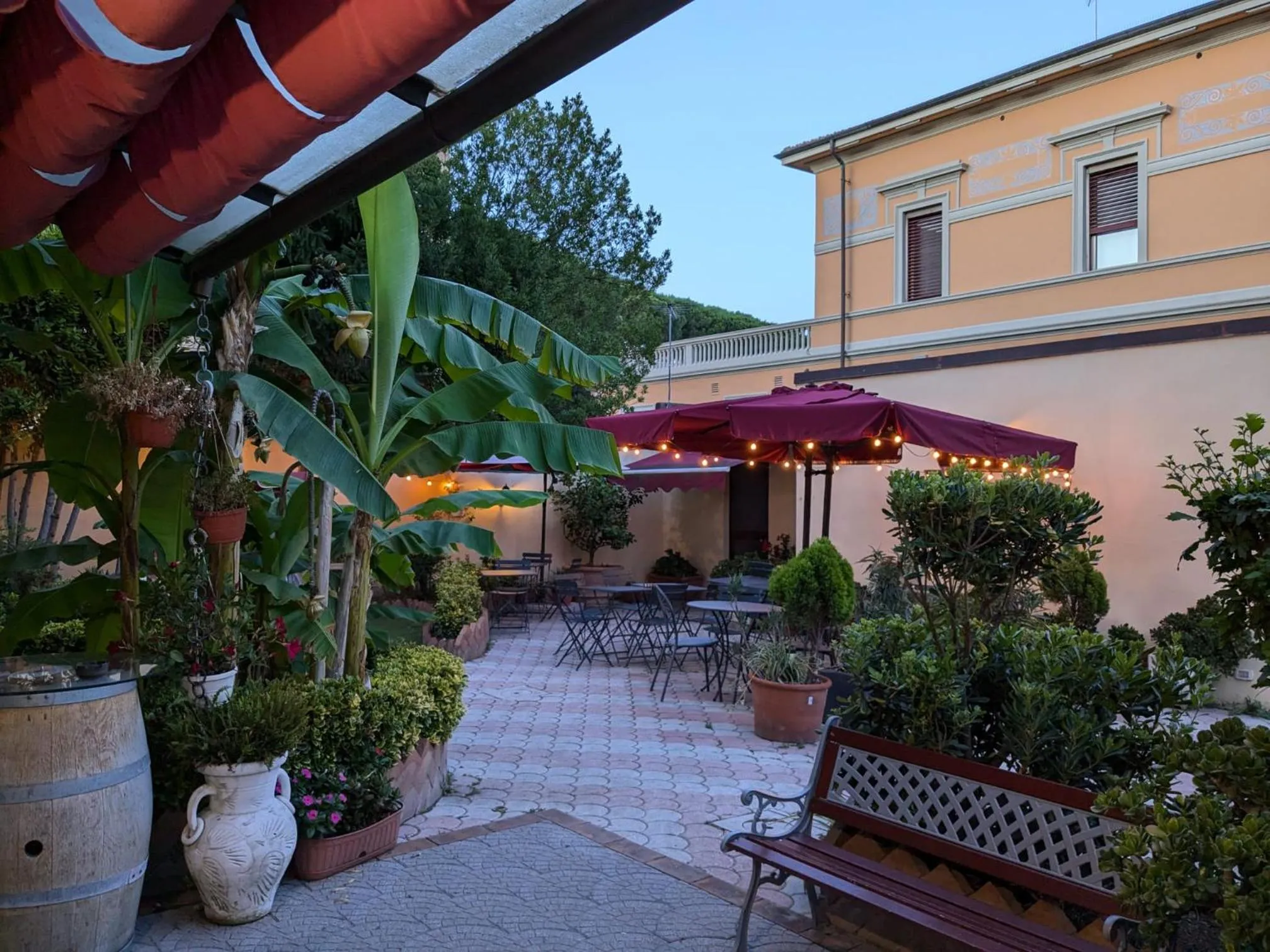 Garden in Hotel Soggiorno Athena