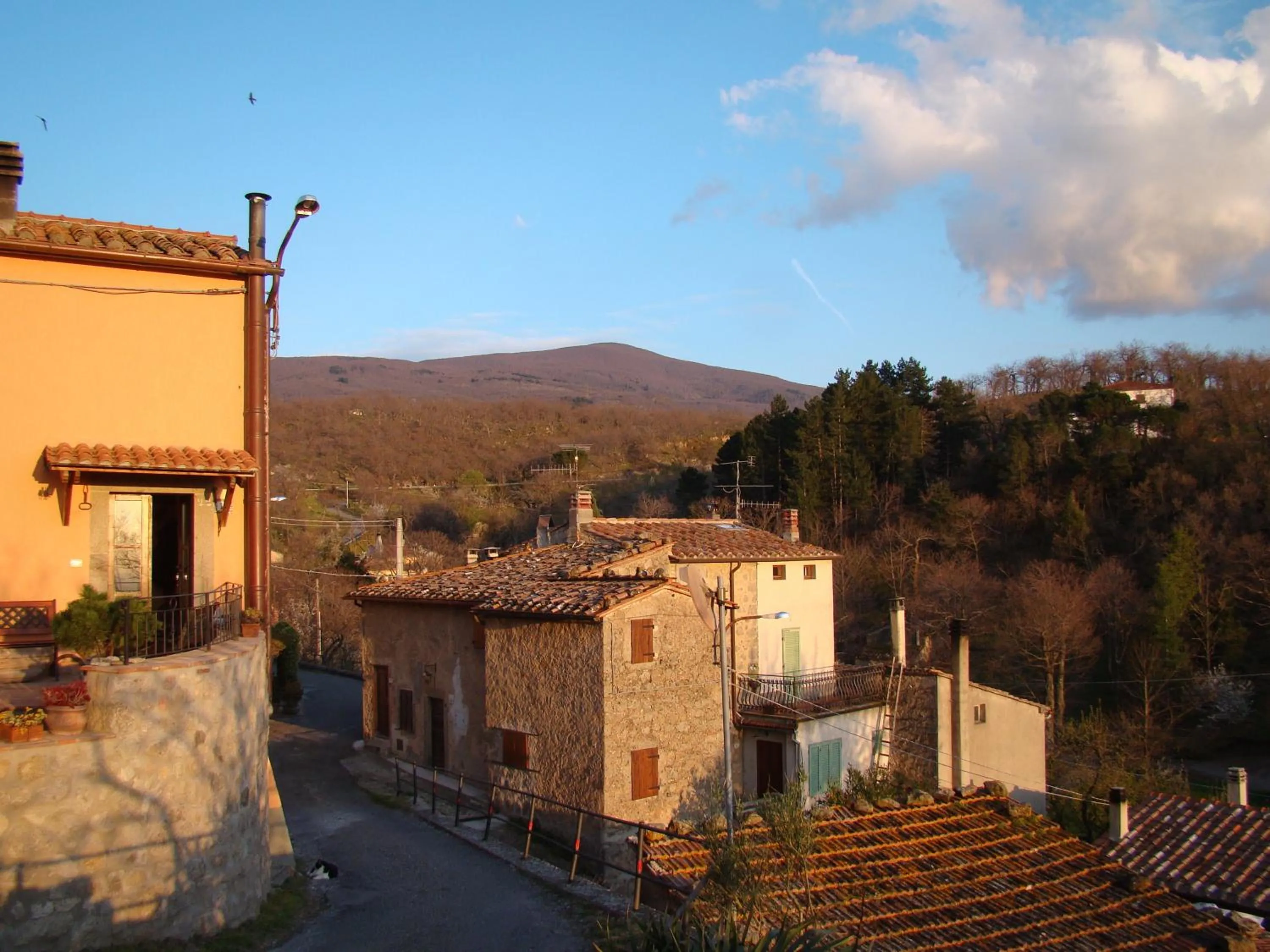 View (from property/room) in Borgo Tepolini Country House