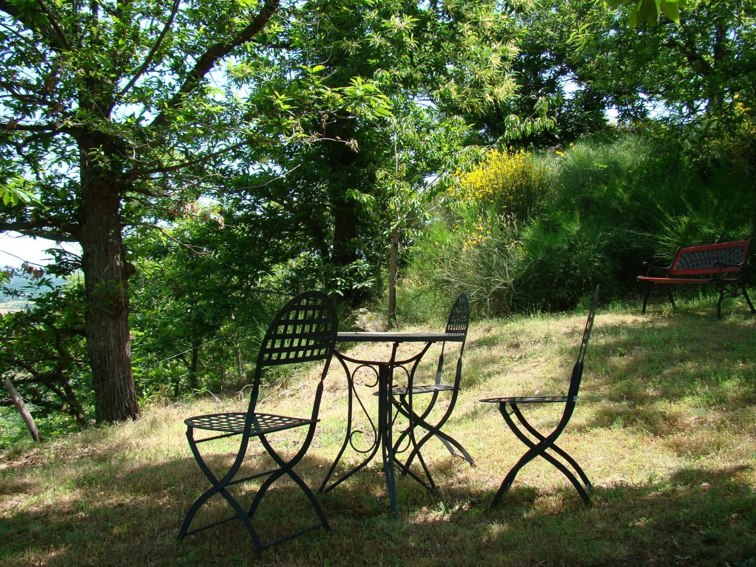 Garden in Borgo Tepolini Country House