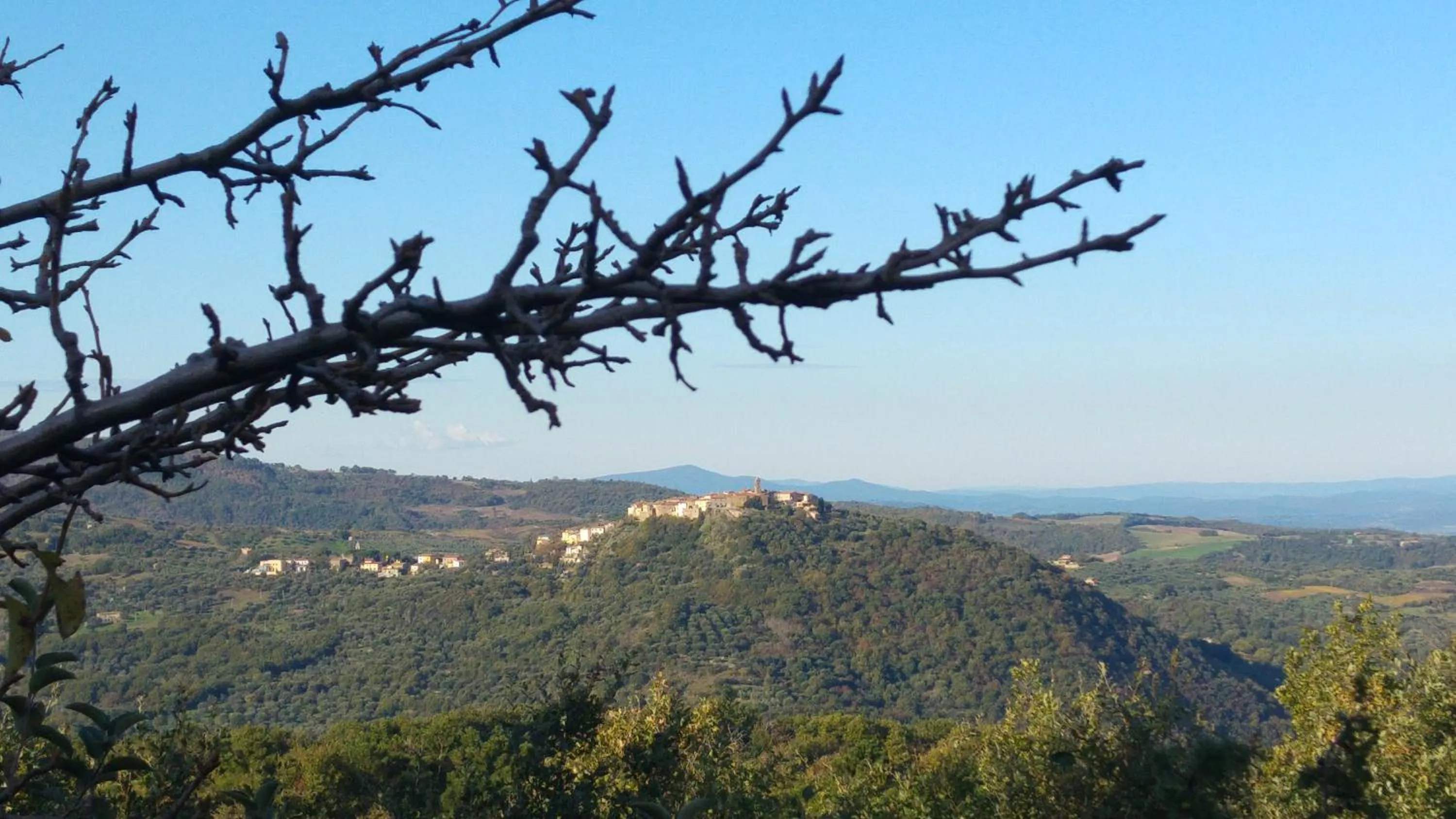 Garden in Borgo Tepolini Country House