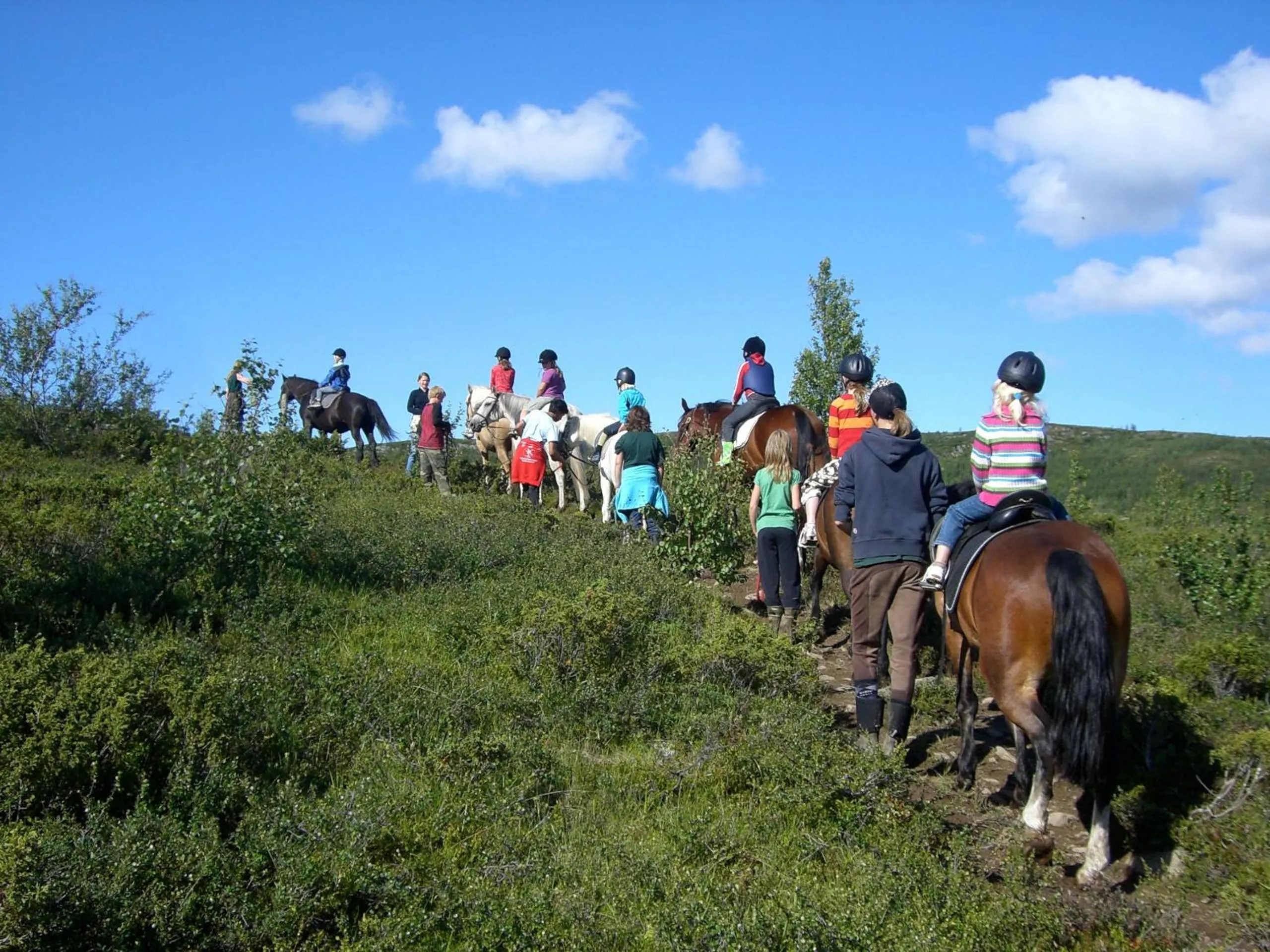 Horse-riding in Herangtunet Mountain Lodge