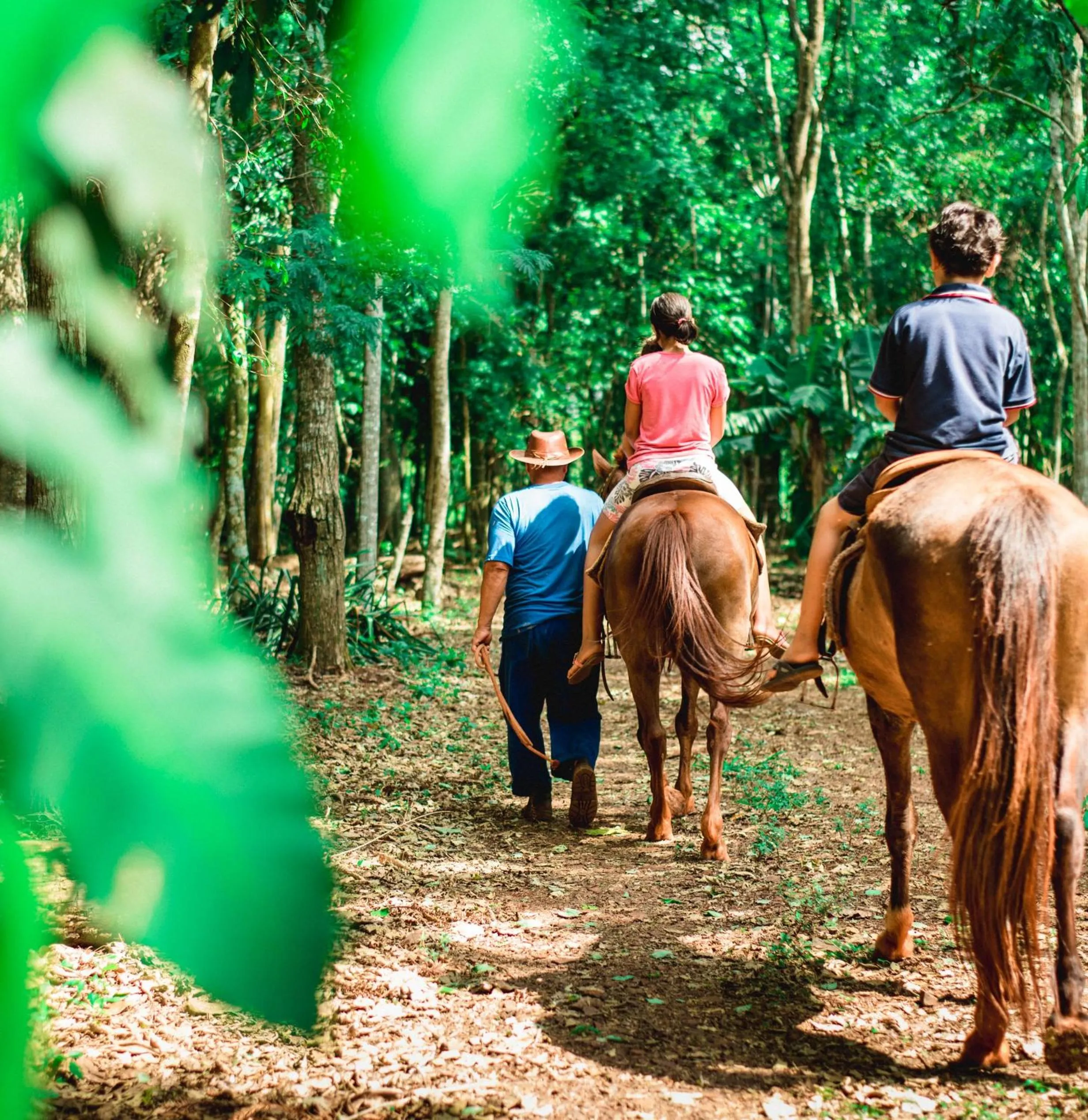 Horse-riding in Canzi Cataratas Hotel
