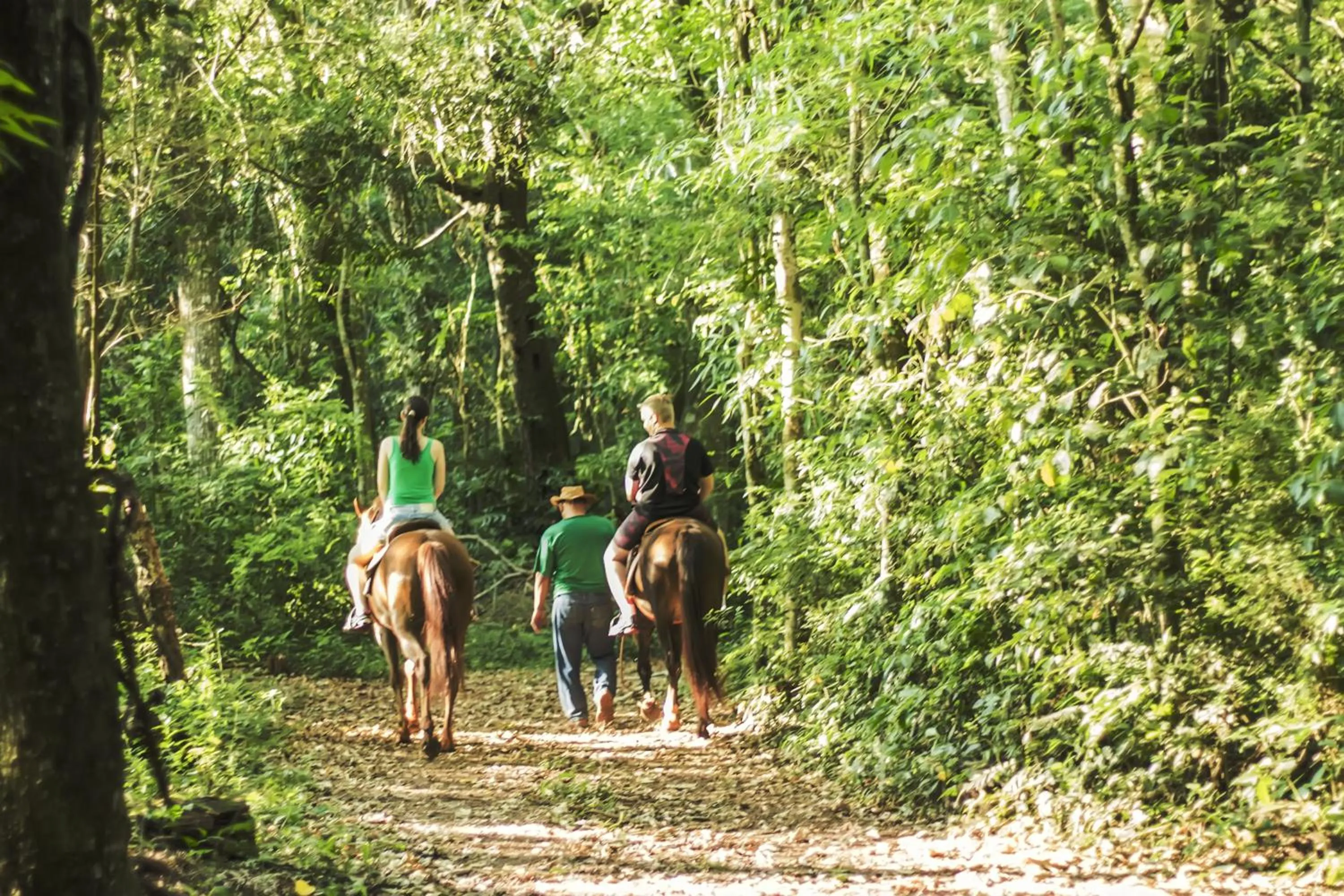 Horse-riding in Canzi Cataratas Hotel
