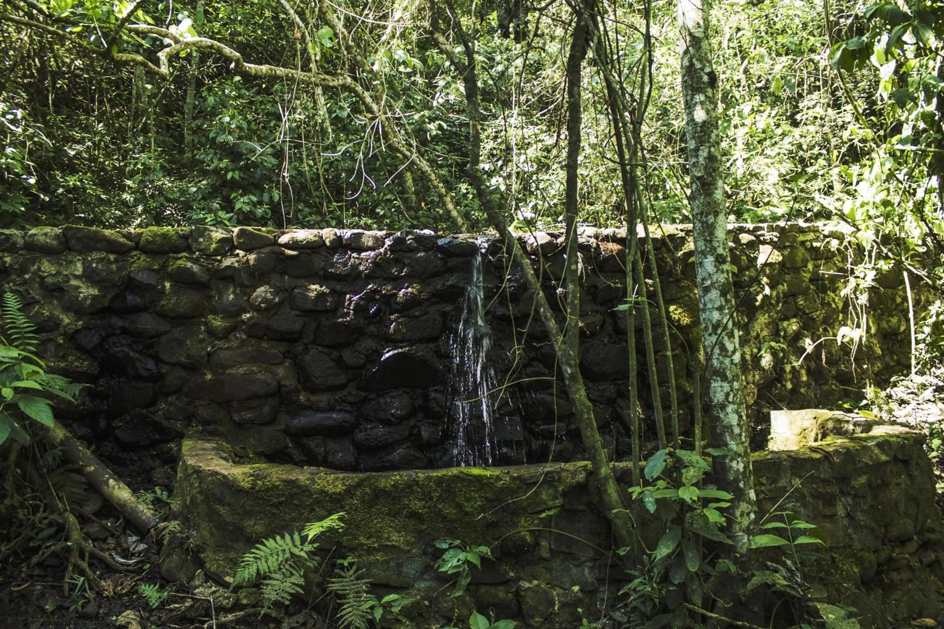 Garden in Canzi Cataratas Hotel