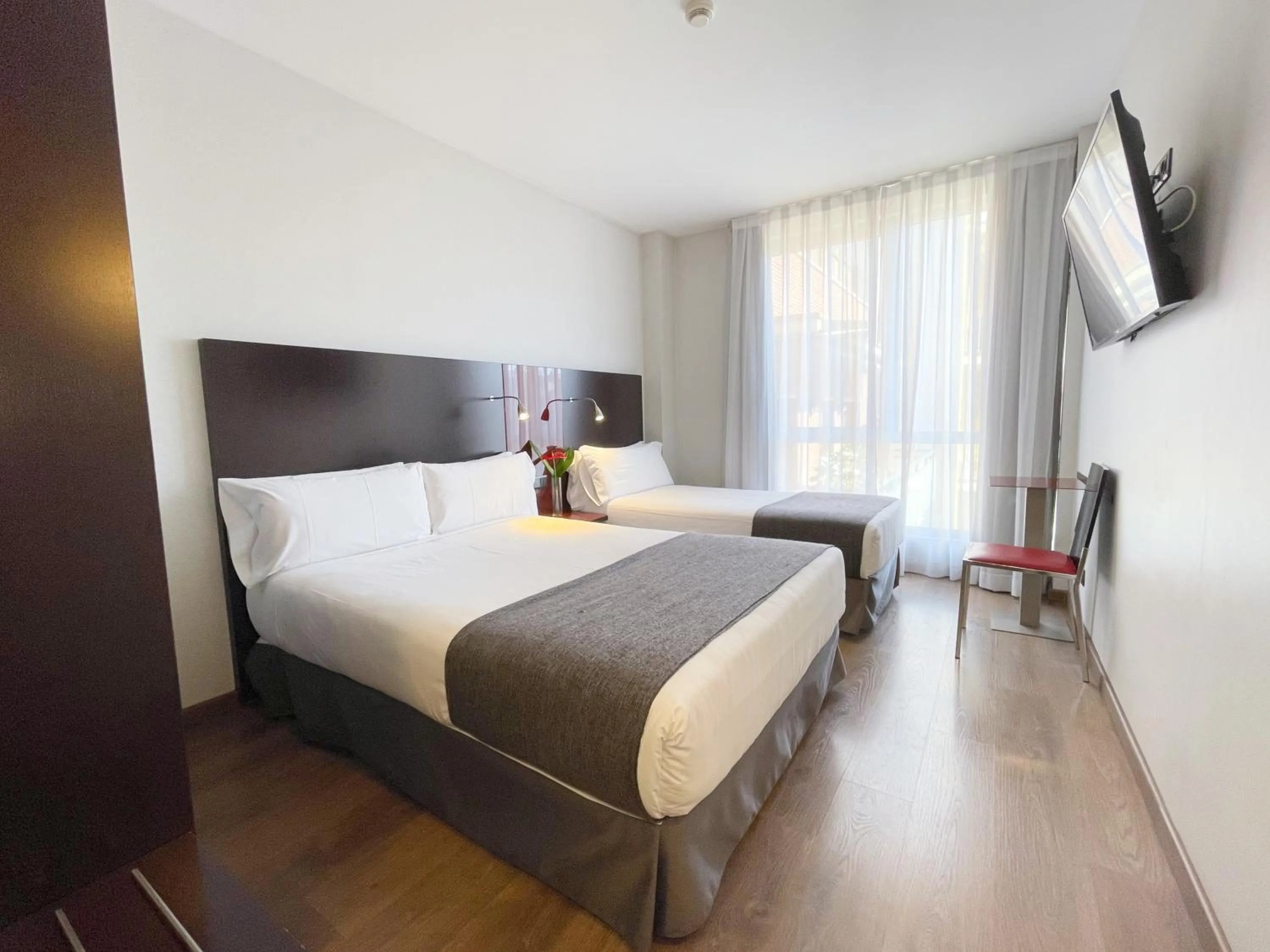 Photo of the whole room, Bed in SM Hotel Sant Antoni