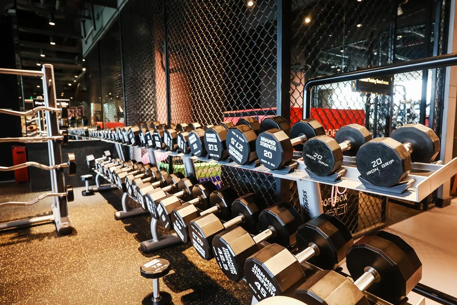 Fitness centre/facilities in Crowne Plaza Shanghai Jinxiu by IHG