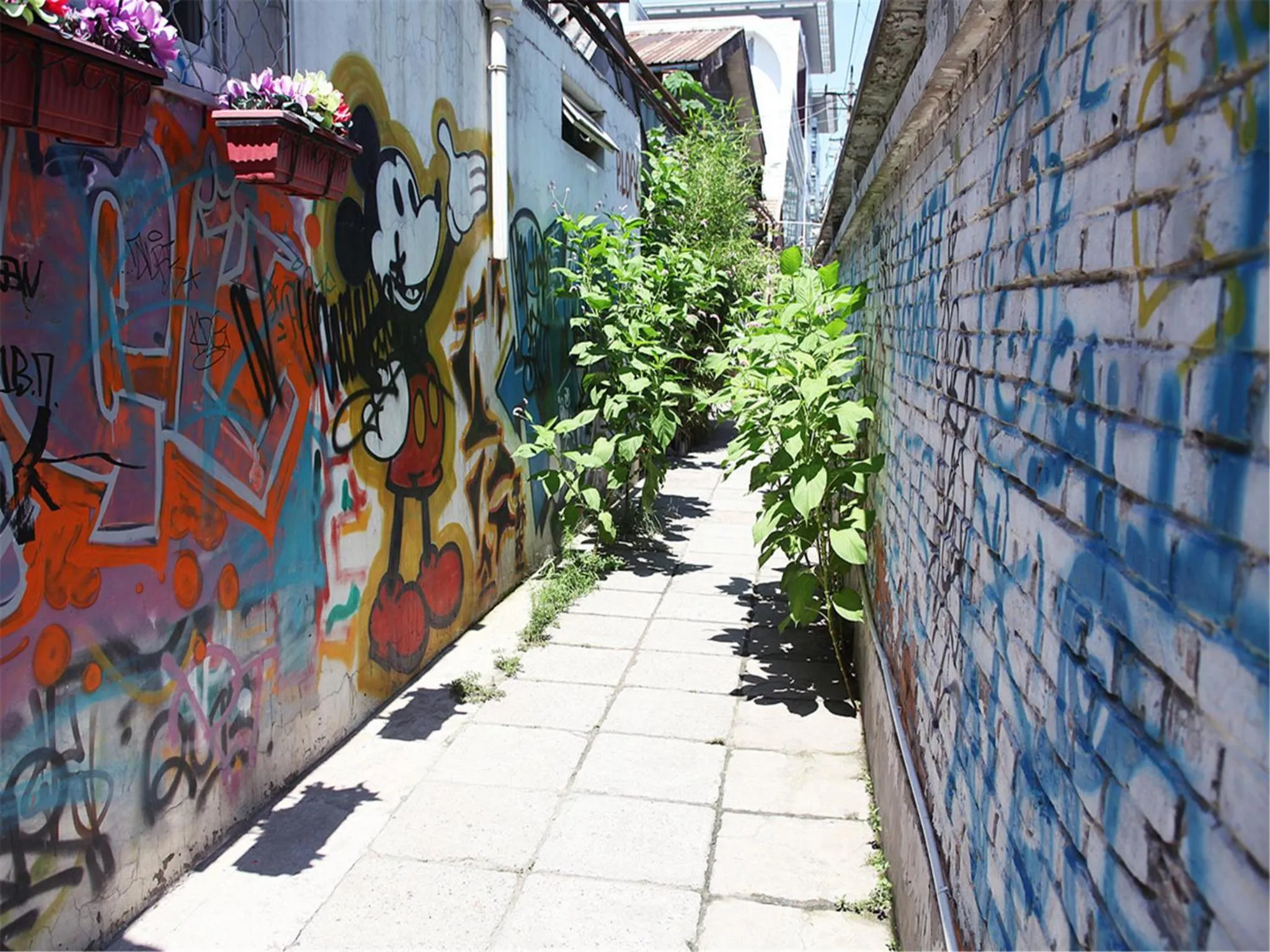 Other in P.Loft Youth Hostel