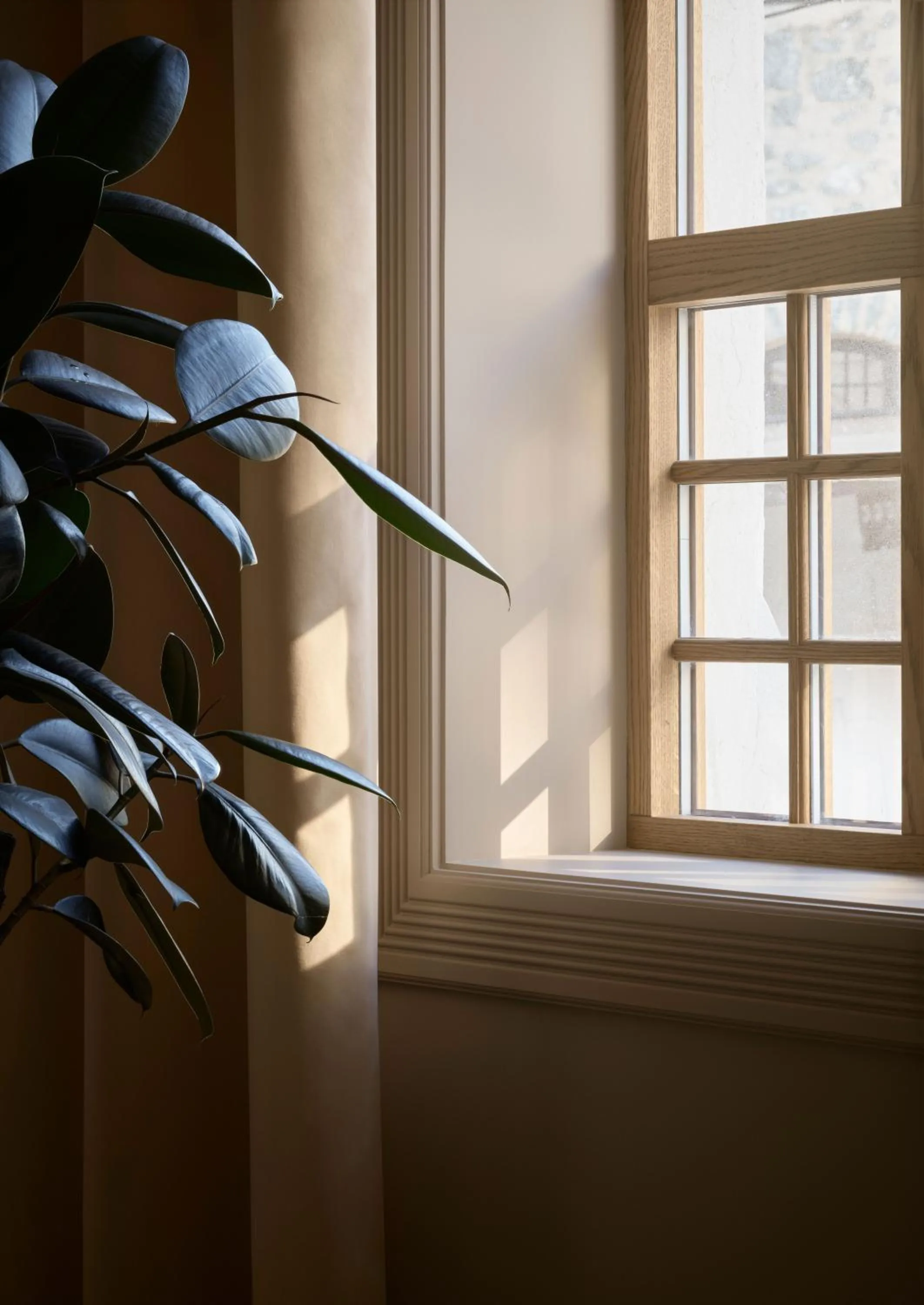 Restaurant/places to eat in Hotel 1904