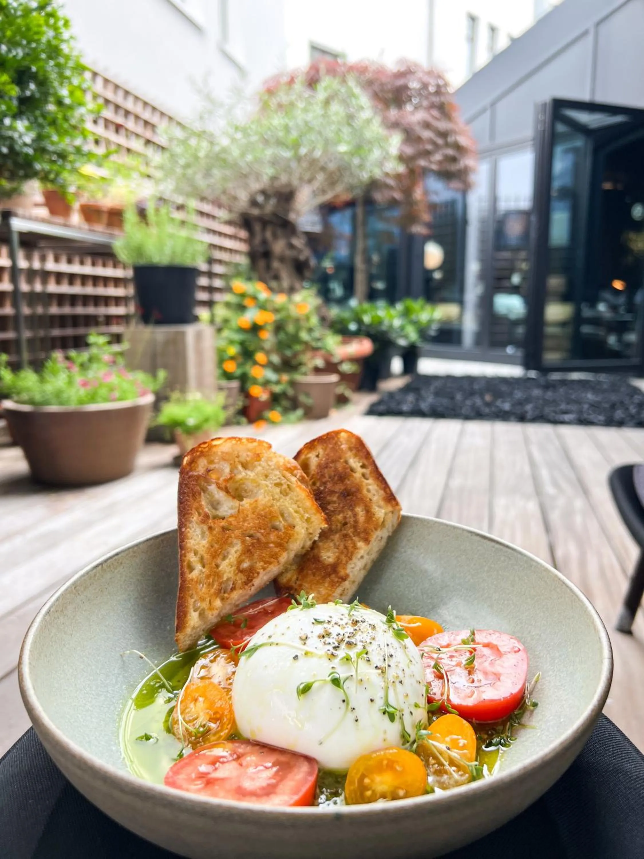 Restaurant/places to eat in Hotel 1904