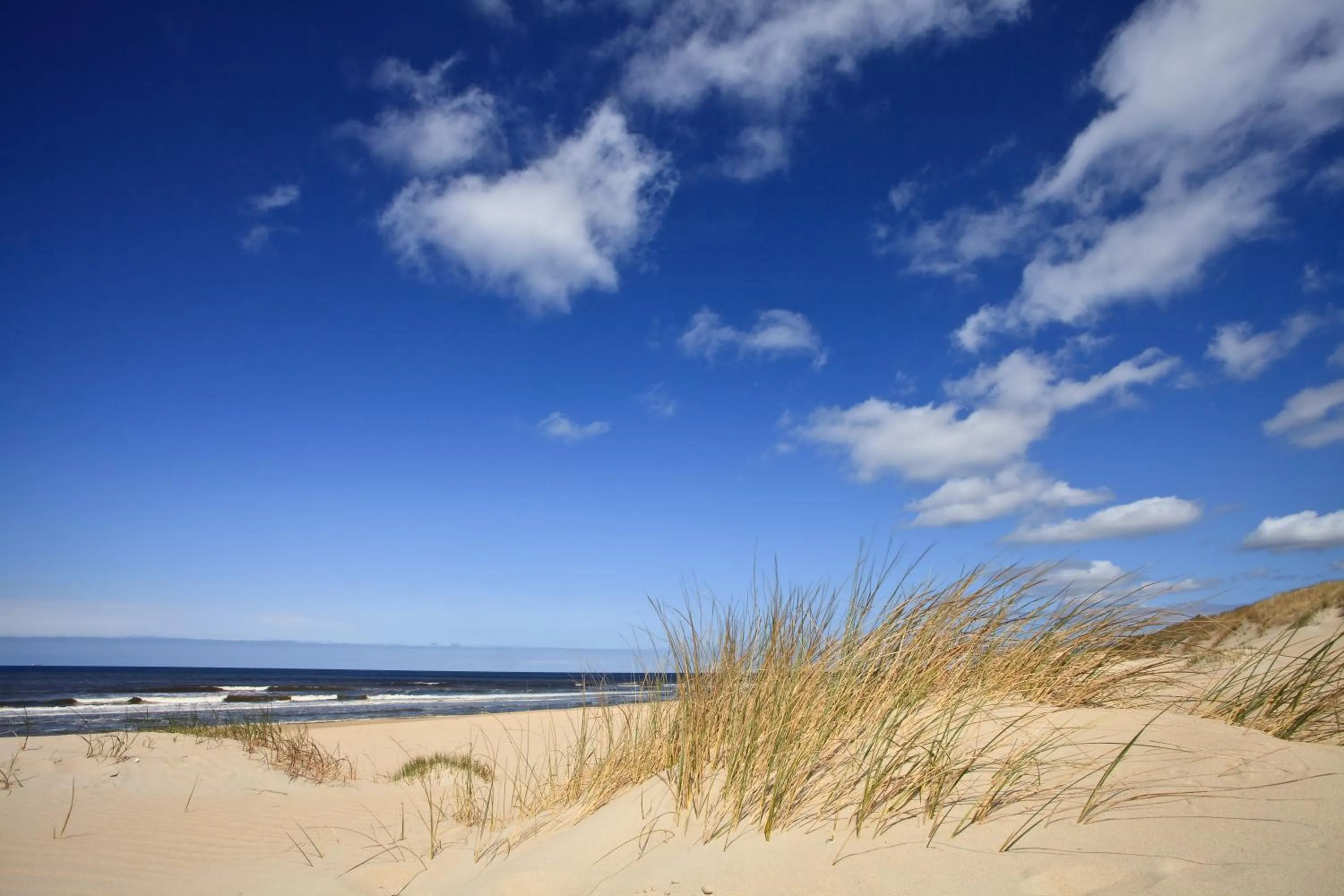 Beach in Fletcher Wellness-Hotel Kamperduinen