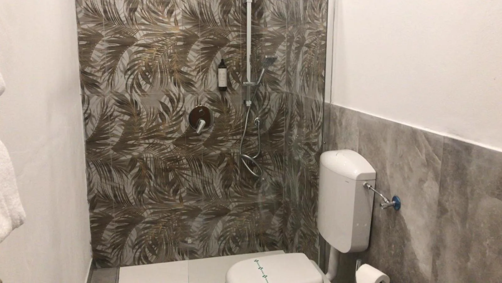 Toilet in Garda Sol SPA Hotel & Appartamenti