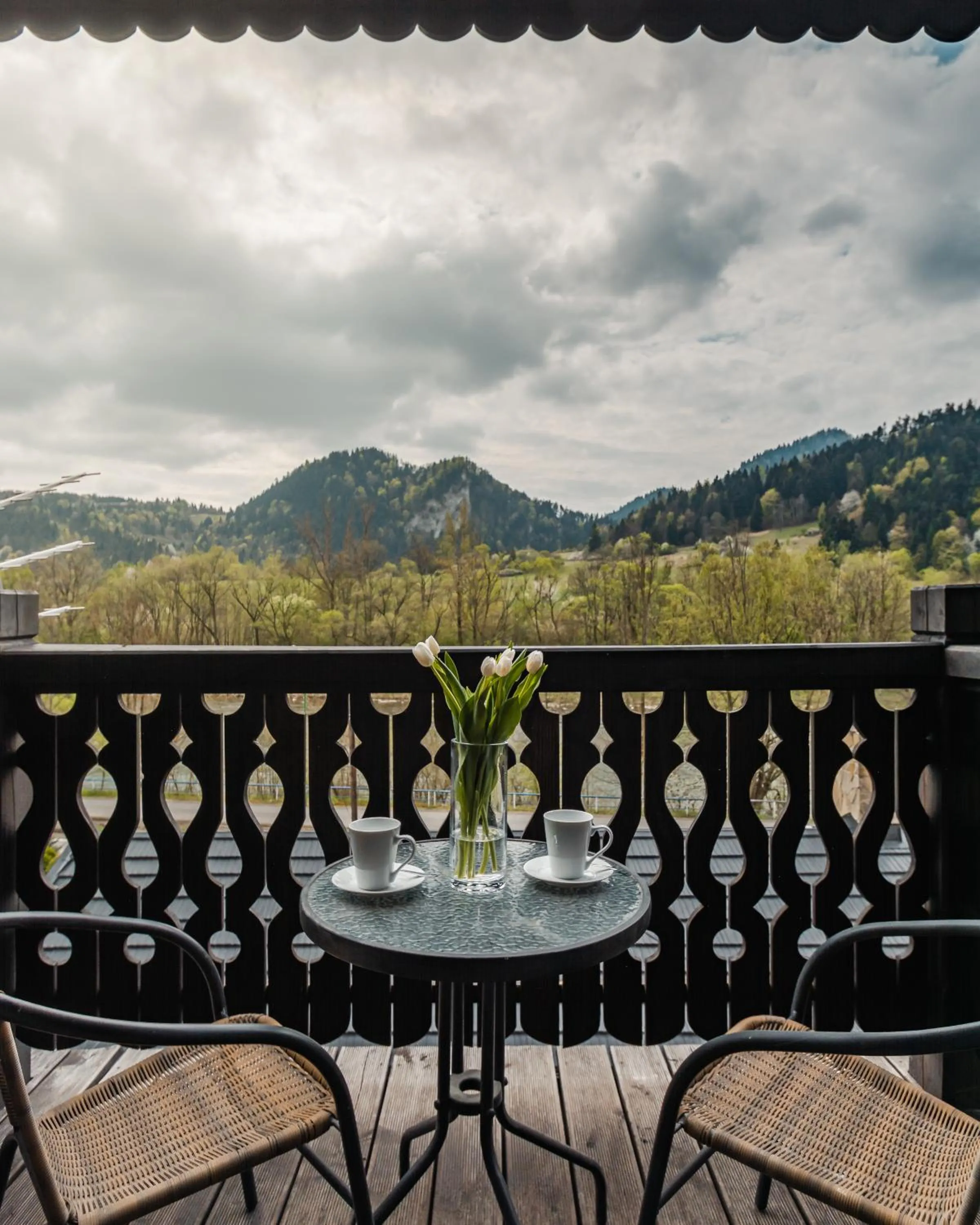 Balcony/Terrace in Hotel Smile Pieniny