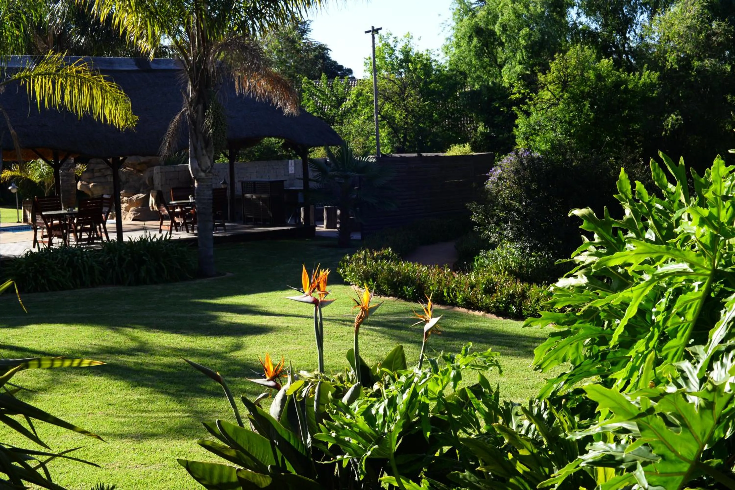 Garden view in Avant Garde Lodge