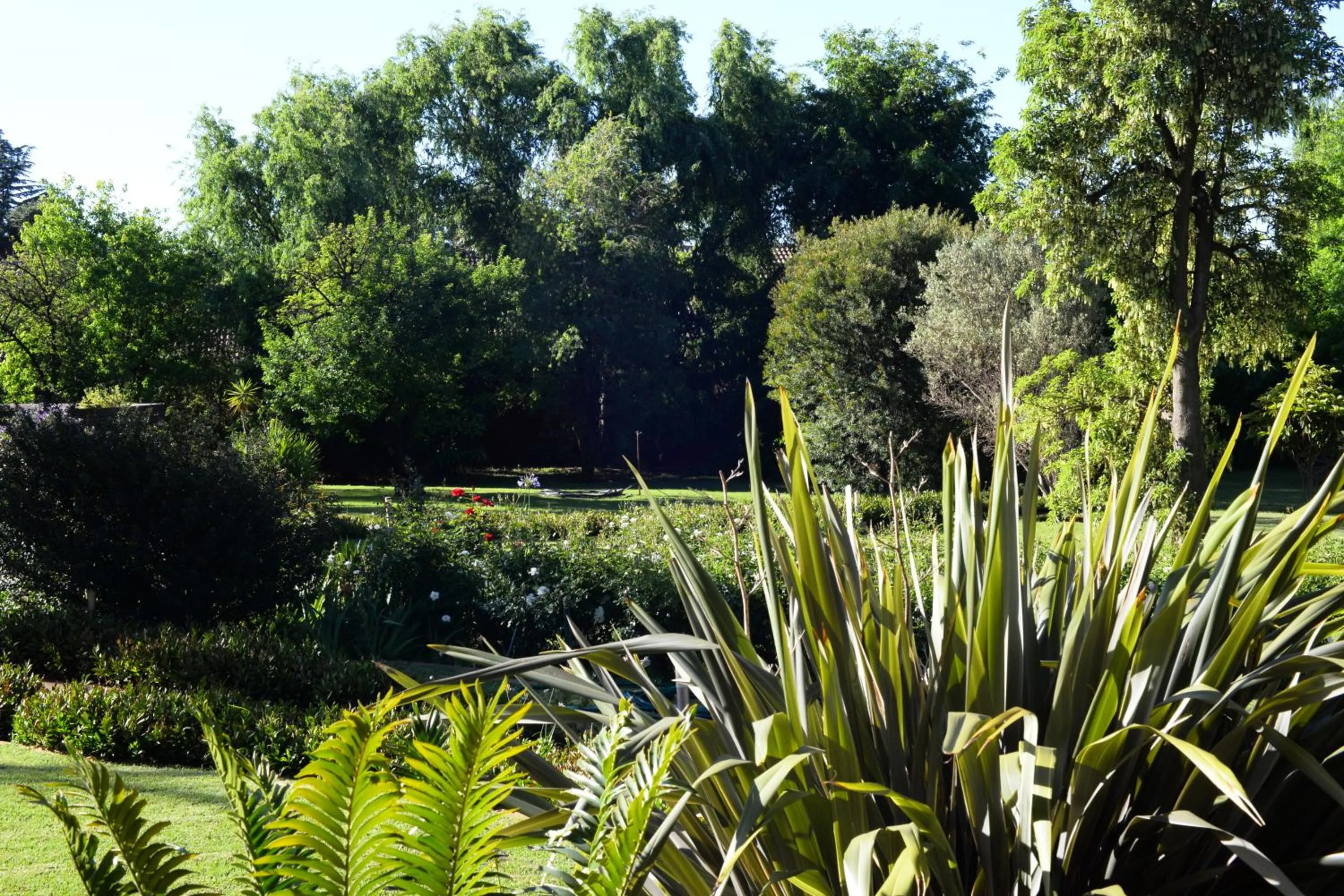 Garden view in Avant Garde Lodge