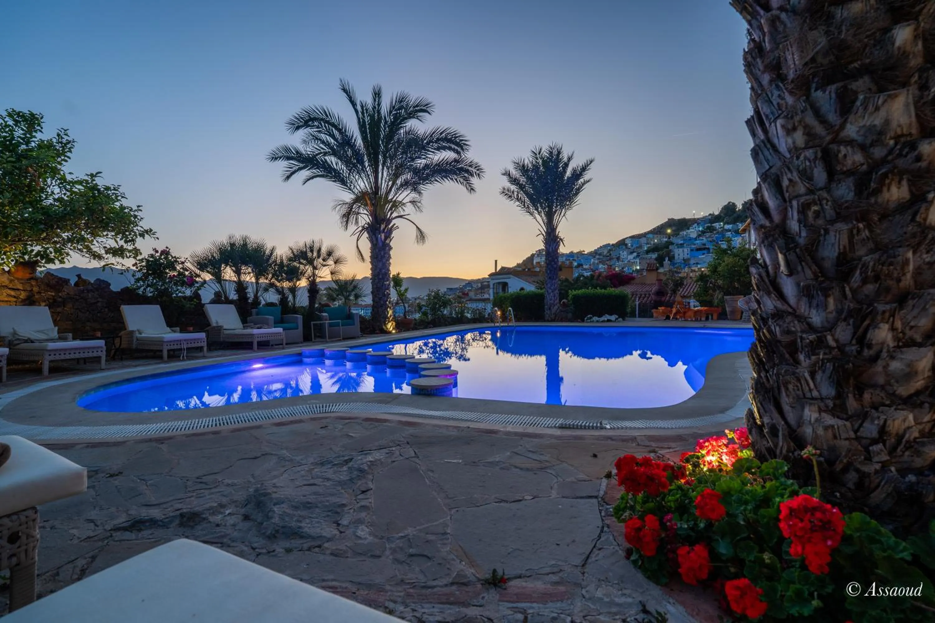 Garden in Dar Echchaouen Maison d'Hôtes & Riad