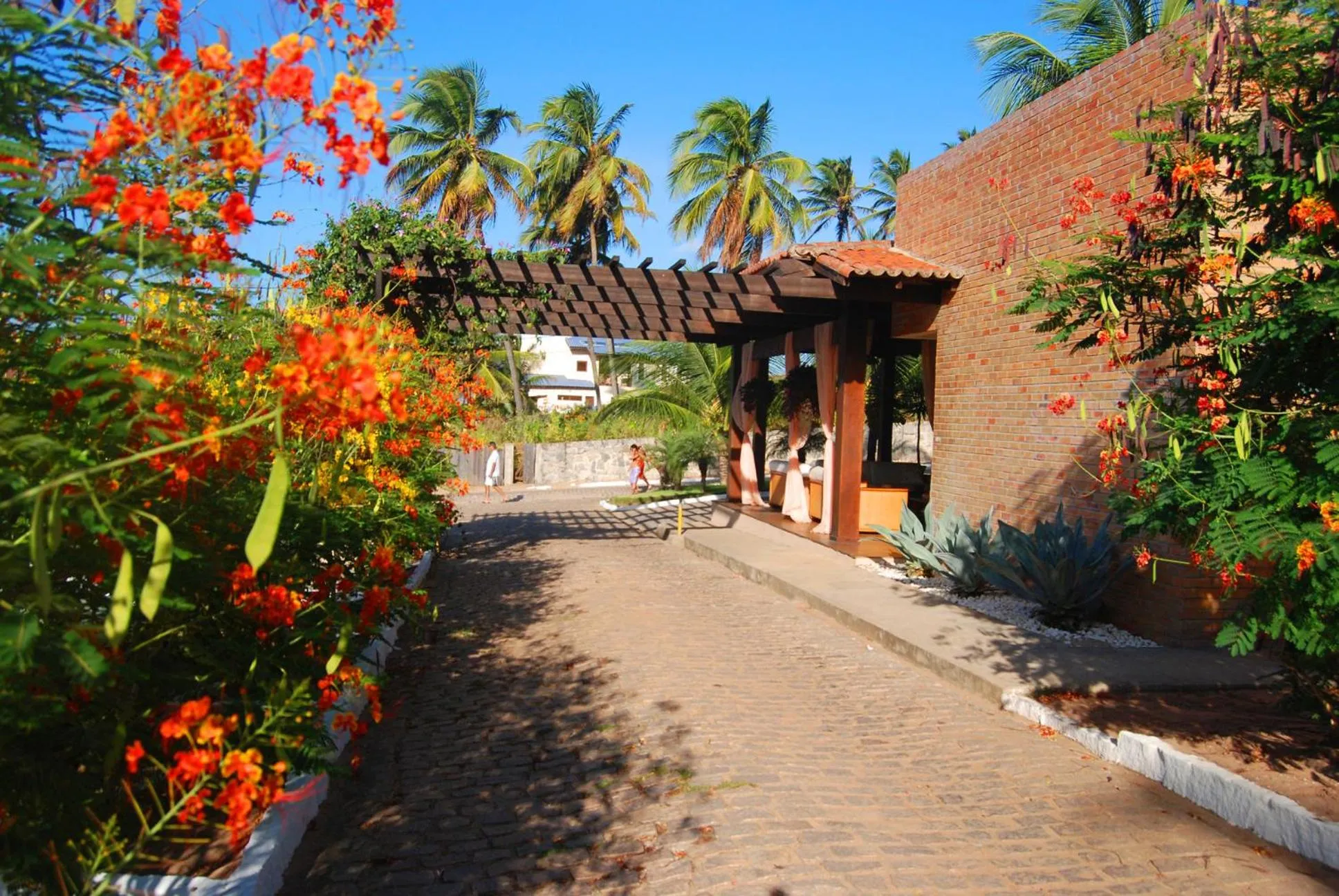 Garden in Hotel Marinas