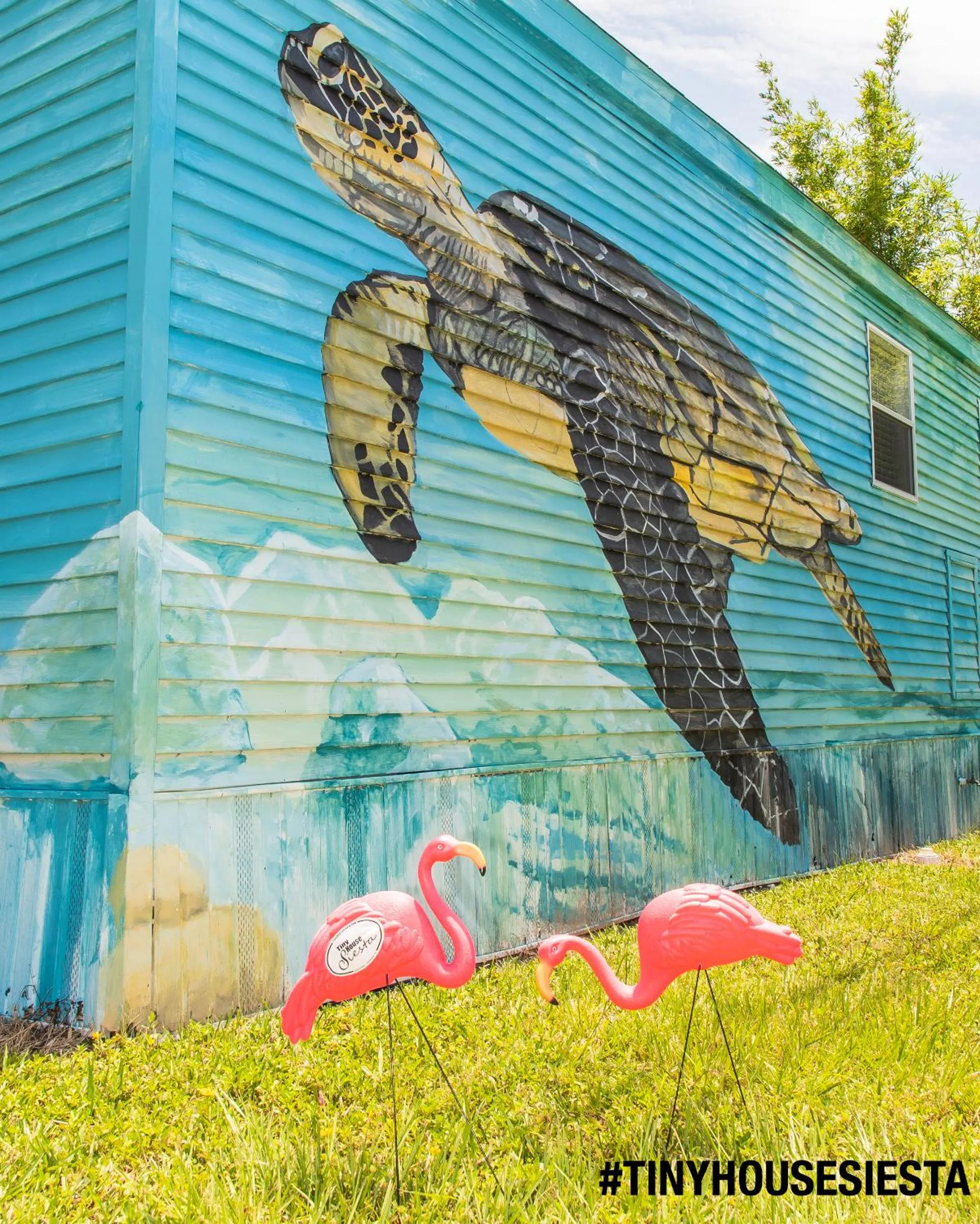 Property building in Tiny House Siesta