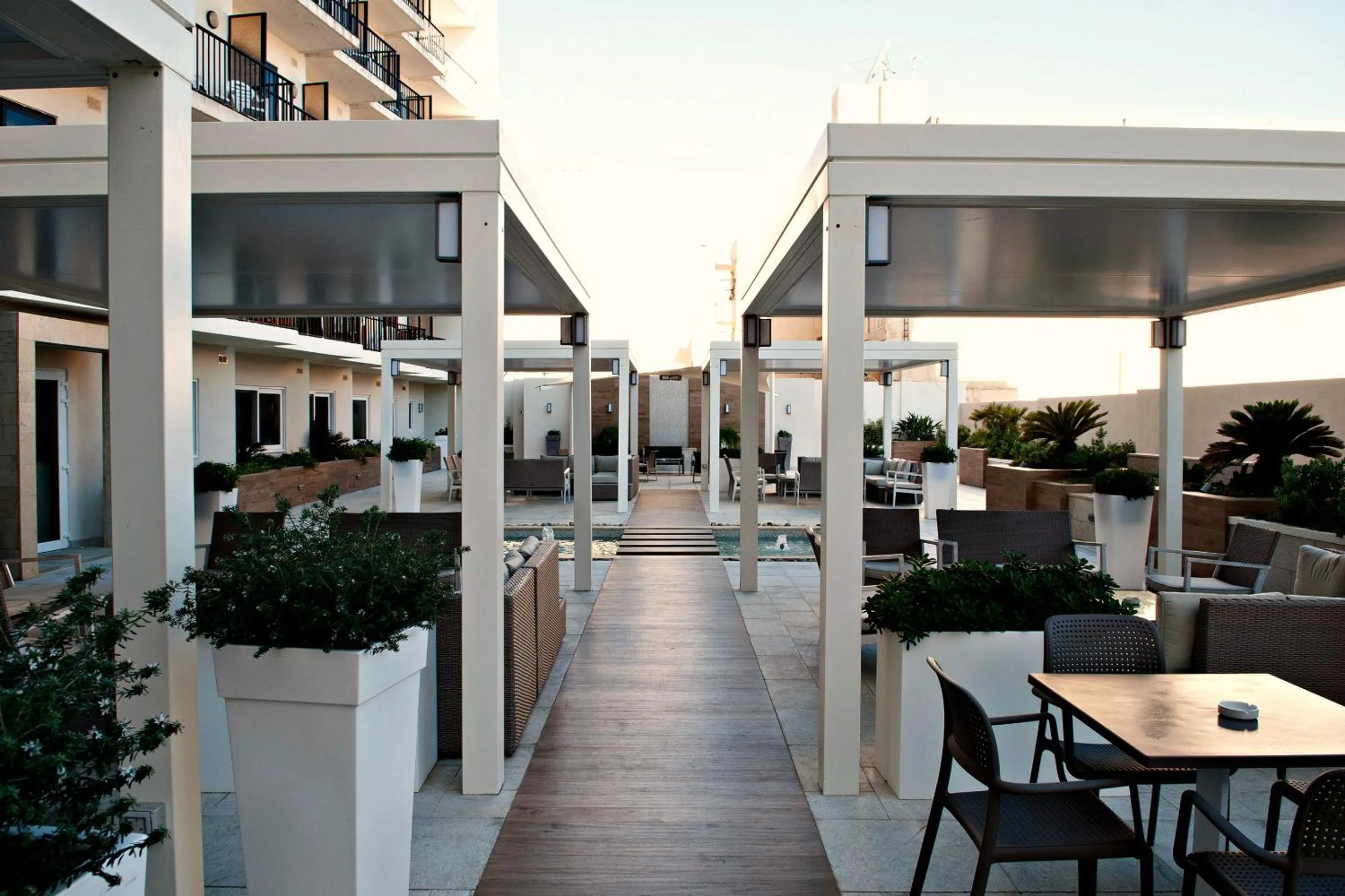 Garden in Hotel Santana