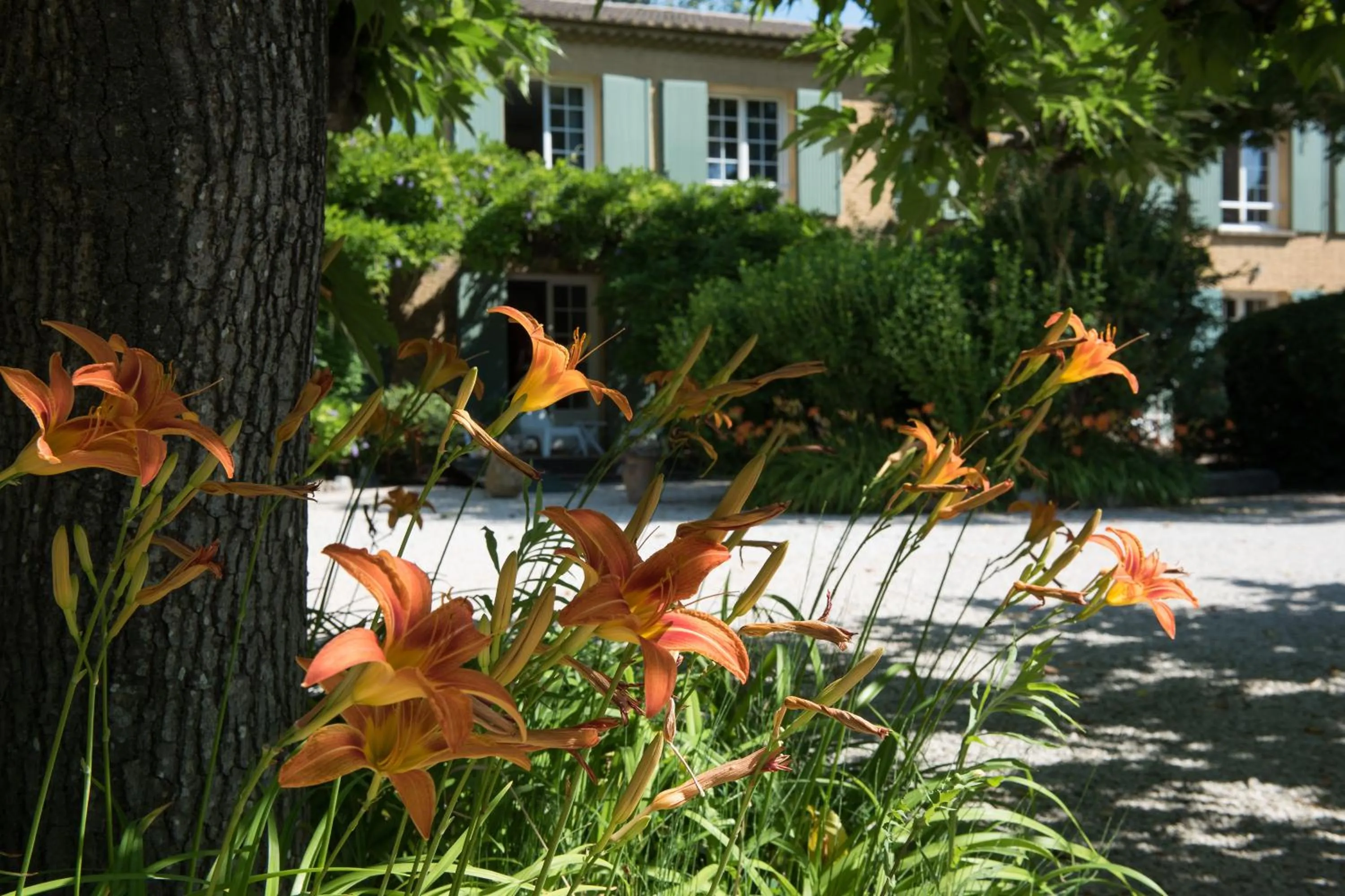 Garden in Logis Hôtel Castel Mouisson
