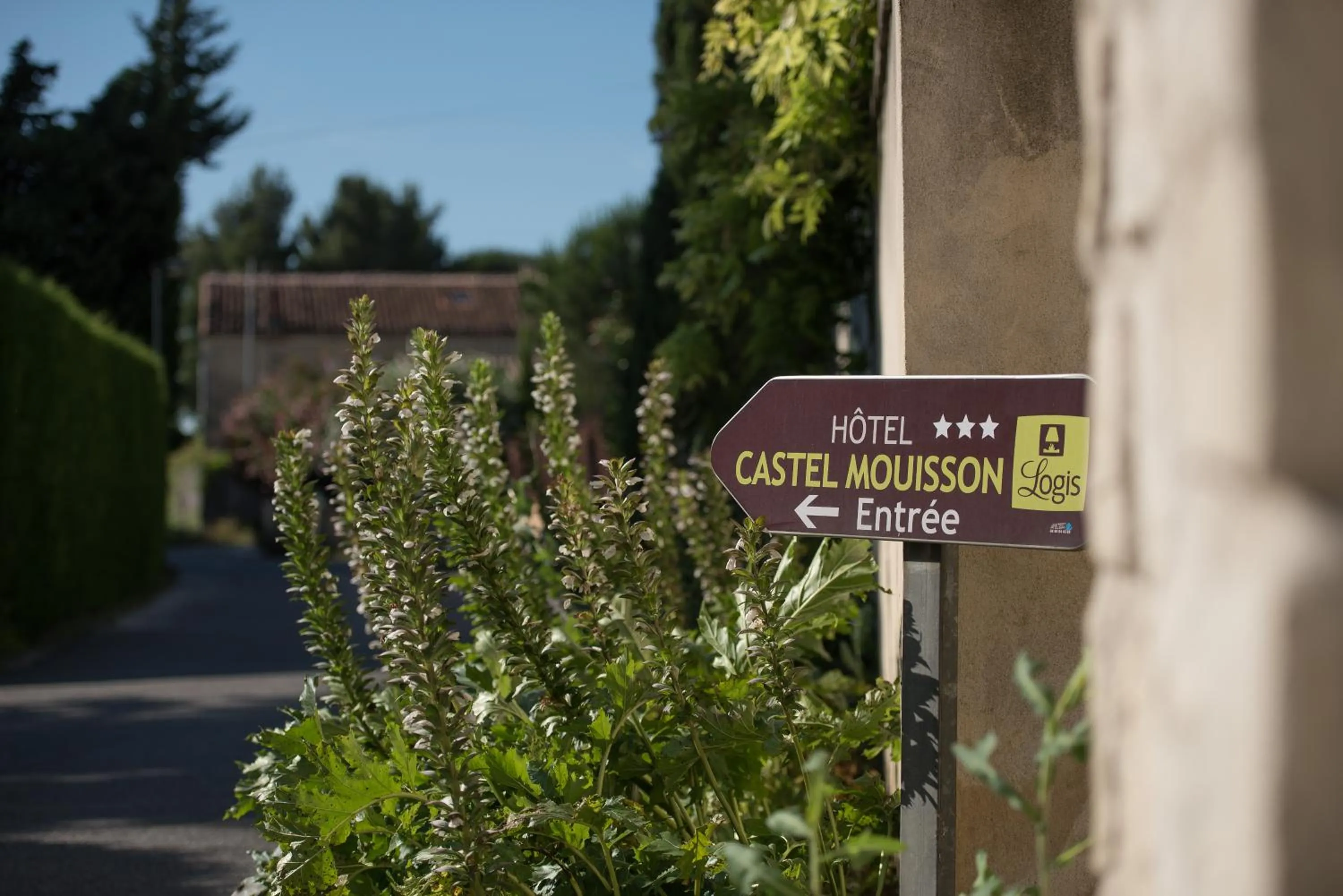 Garden in Logis Hôtel Castel Mouisson