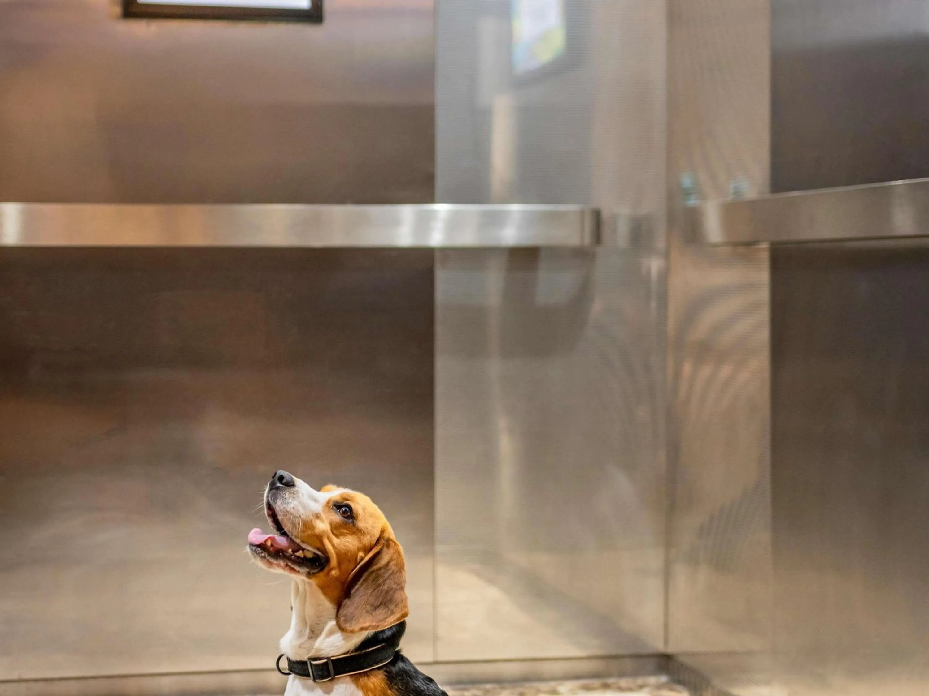 Other in Hotel ibis Lisboa Liberdade